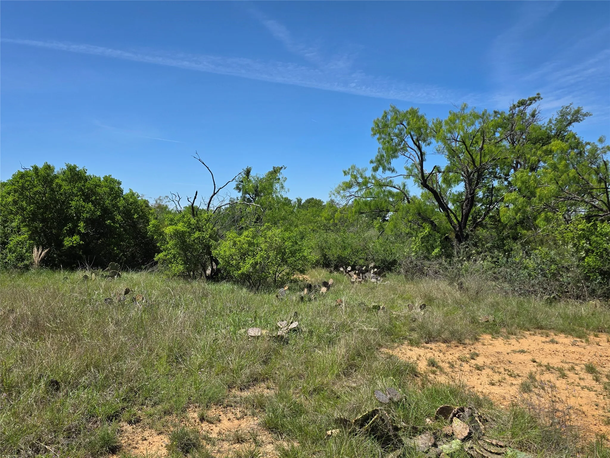 Ranch For Sale in San Saba County , 10315 FM 45, Richland Springs, Texas 76872, 0, 0, Garage spaces, 0 Sqft, built in 0, Price $352,578, mls#21159878, Real Estate Agent in Richland Springs, Homes For Sale in San Saba county, Homes For Sale in Richland Springs, Realtor in Richland Springs Texas, Real Estate Brokerage Independent Realty Texas, Luminita Cordes Realtor