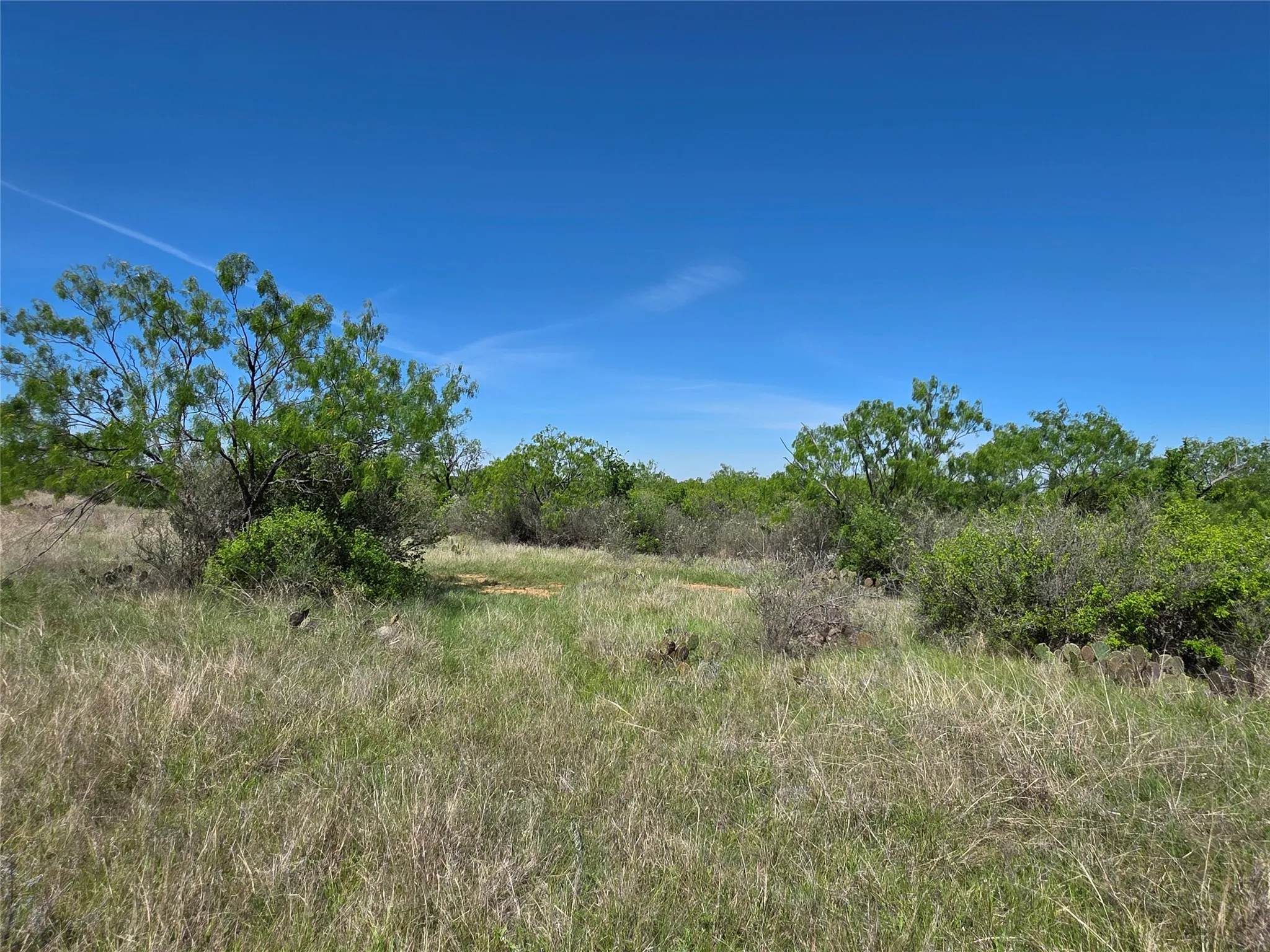 Ranch For Sale in San Saba County , 10315 FM 45, Richland Springs, Texas 76872, 0, 0, Garage spaces, 0 Sqft, built in 0, Price $352,578, mls#21159878, Real Estate Agent in Richland Springs, Homes For Sale in San Saba county, Homes For Sale in Richland Springs, Realtor in Richland Springs Texas, Real Estate Brokerage Independent Realty Texas, Luminita Cordes Realtor