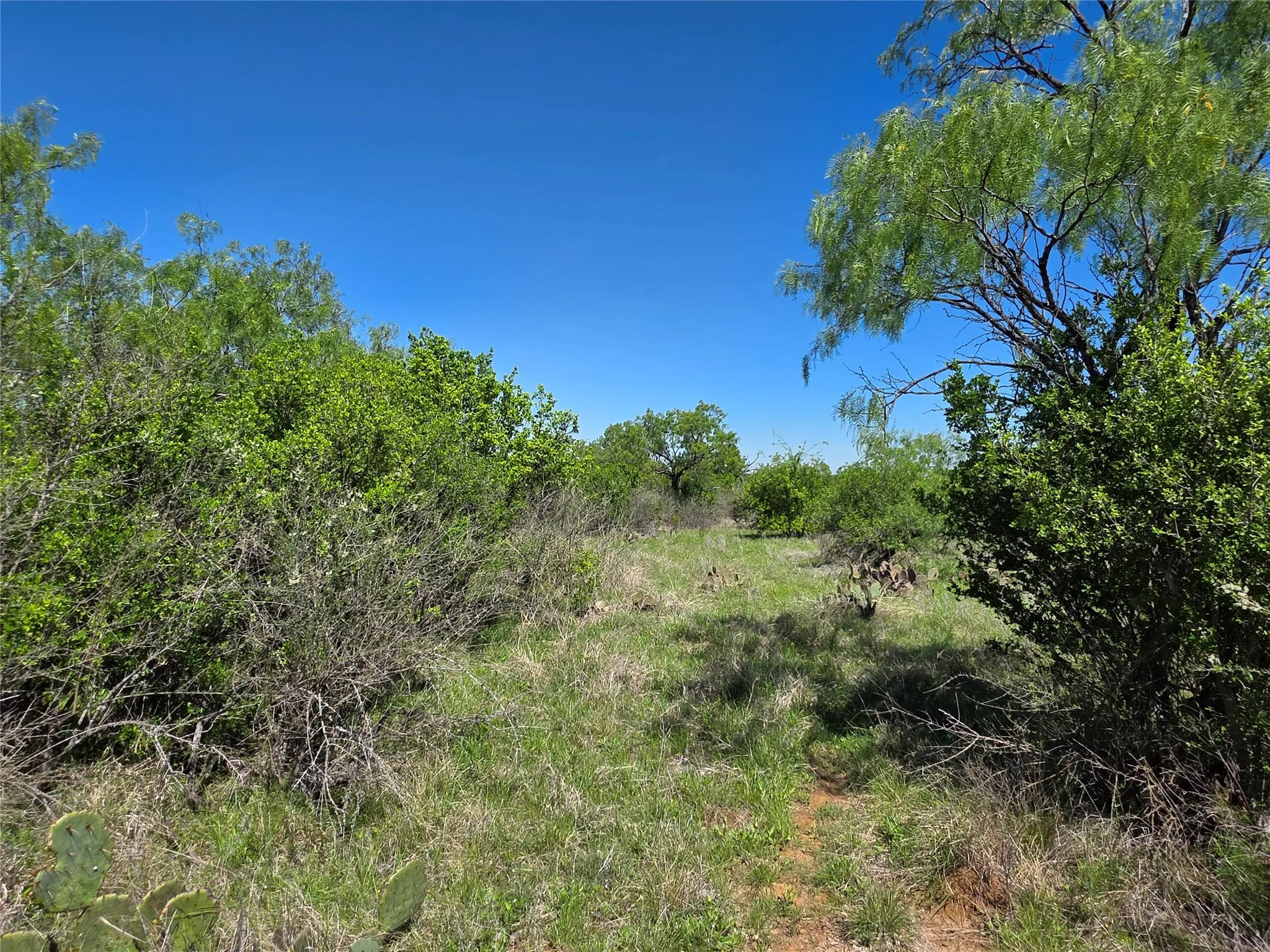 Ranch For Sale in San Saba County , 10315 FM 45, Richland Springs, Texas 76872, 0, 0, Garage spaces, 0 Sqft, built in 0, Price $352,578, mls#21159878, Real Estate Agent in Richland Springs, Homes For Sale in San Saba county, Homes For Sale in Richland Springs, Realtor in Richland Springs Texas, Real Estate Brokerage Independent Realty Texas, Luminita Cordes Realtor