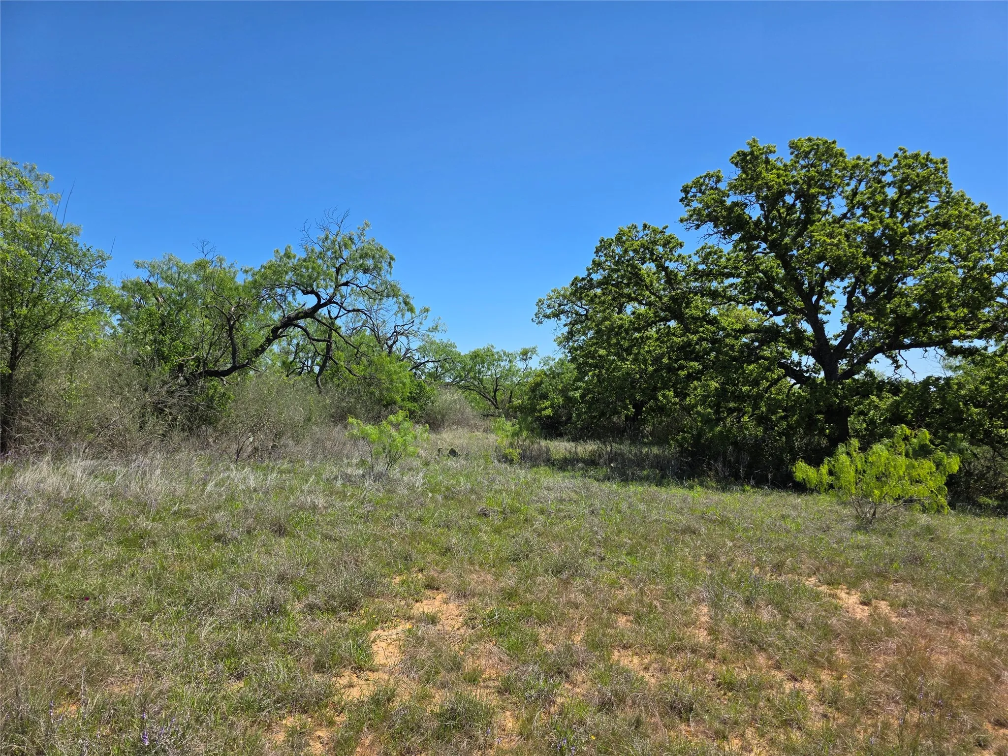 Ranch For Sale in San Saba County , 10315 FM 45, Richland Springs, Texas 76872, 0, 0, Garage spaces, 0 Sqft, built in 0, Price $352,578, mls#21159878, Real Estate Agent in Richland Springs, Homes For Sale in San Saba county, Homes For Sale in Richland Springs, Realtor in Richland Springs Texas, Real Estate Brokerage Independent Realty Texas, Luminita Cordes Realtor