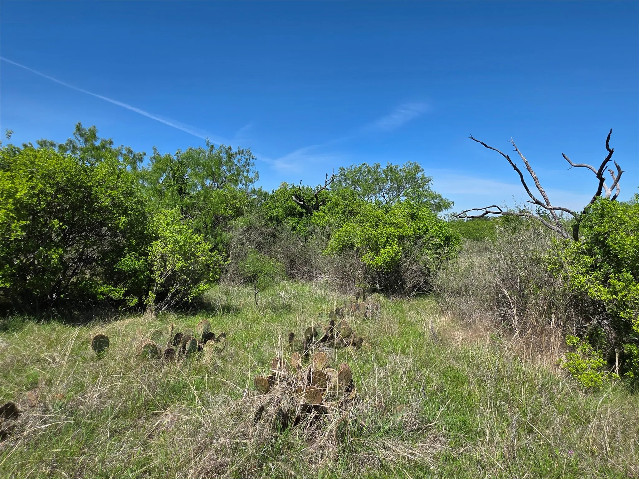 Ranch For Sale in San Saba County , 10315 FM 45, Richland Springs, Texas 76872, 0, 0, Garage spaces, 0 Sqft, built in 0, Price $352,578, mls#21159878, Real Estate Agent in Richland Springs, Homes For Sale in San Saba county, Homes For Sale in Richland Springs, Realtor in Richland Springs Texas, Real Estate Brokerage Independent Realty Texas, Luminita Cordes Realtor