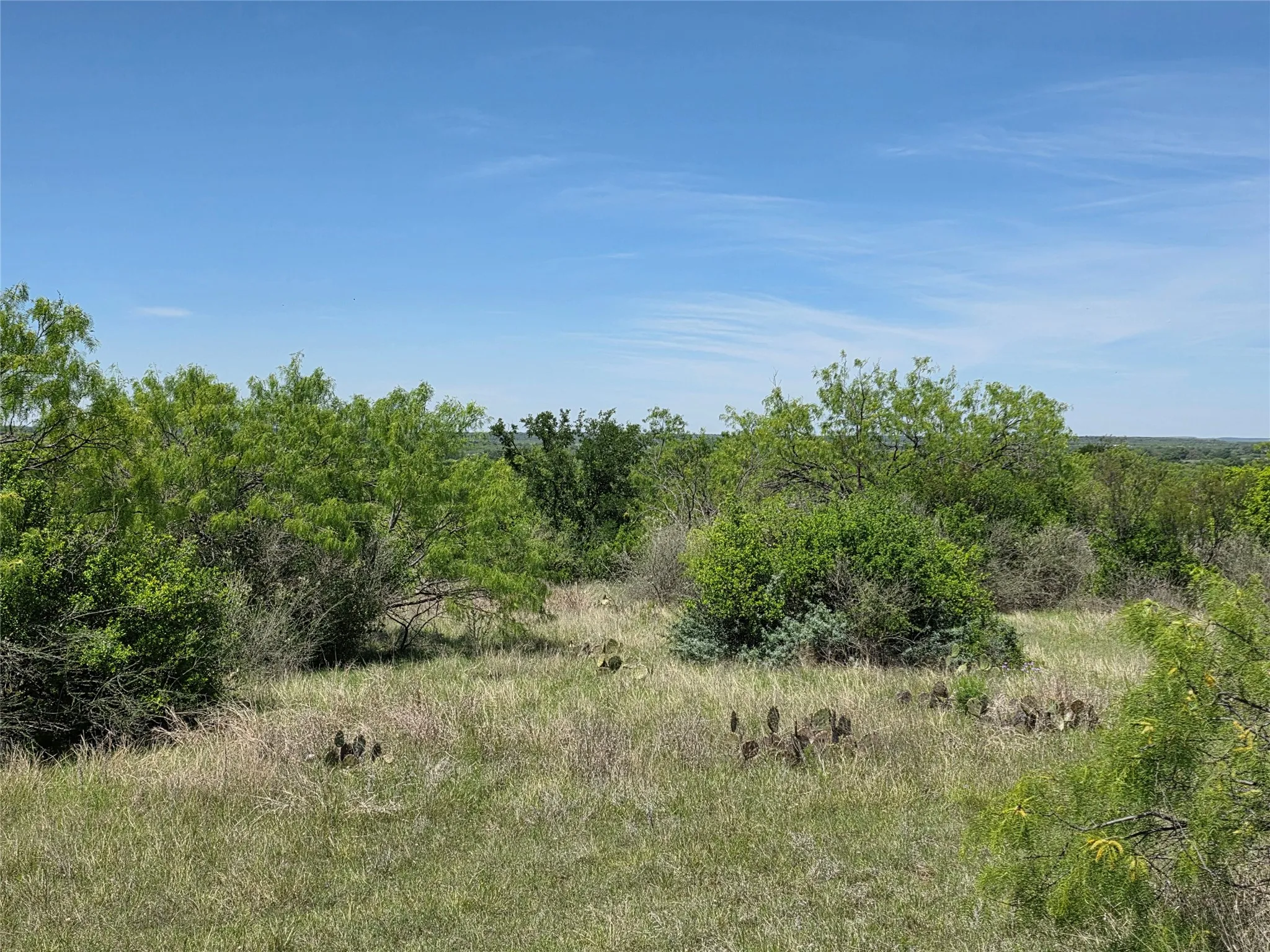 Ranch For Sale in San Saba County , 10315 FM 45, Richland Springs, Texas 76872, 0, 0, Garage spaces, 0 Sqft, built in 0, Price $352,578, mls#21159878, Real Estate Agent in Richland Springs, Homes For Sale in San Saba county, Homes For Sale in Richland Springs, Realtor in Richland Springs Texas, Real Estate Brokerage Independent Realty Texas, Luminita Cordes Realtor