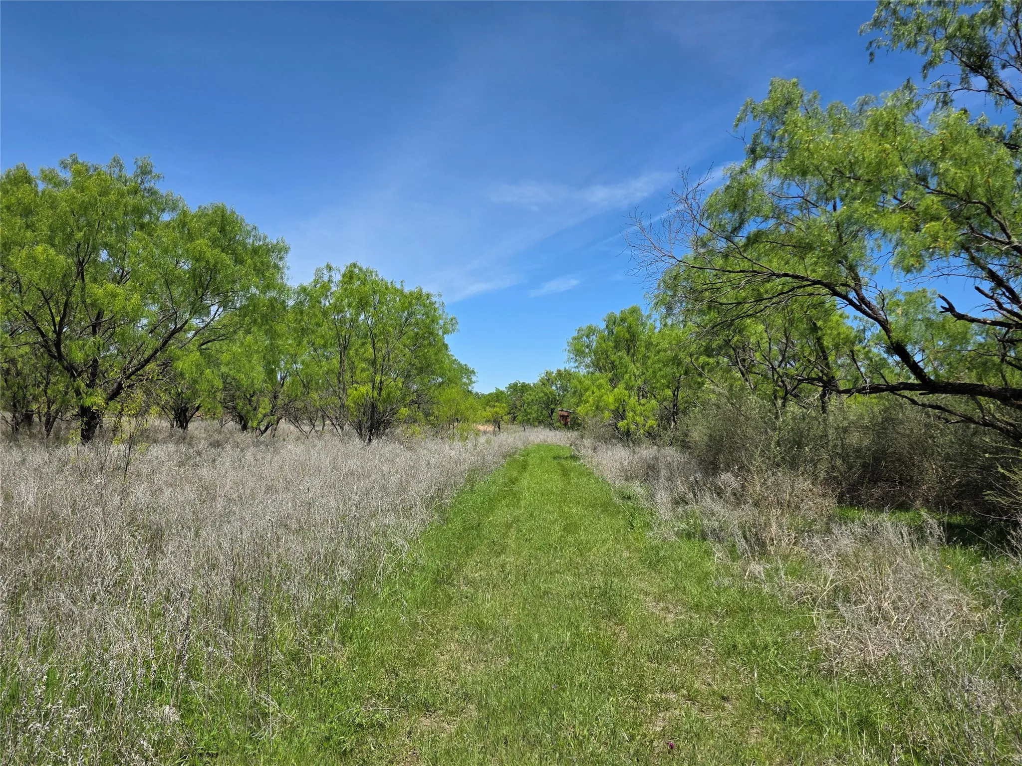 Ranch For Sale in San Saba County , 10315 FM 45, Richland Springs, Texas 76872, 0, 0, Garage spaces, 0 Sqft, built in 0, Price $352,578, mls#21159878, Real Estate Agent in Richland Springs, Homes For Sale in San Saba county, Homes For Sale in Richland Springs, Realtor in Richland Springs Texas, Real Estate Brokerage Independent Realty Texas, Luminita Cordes Realtor