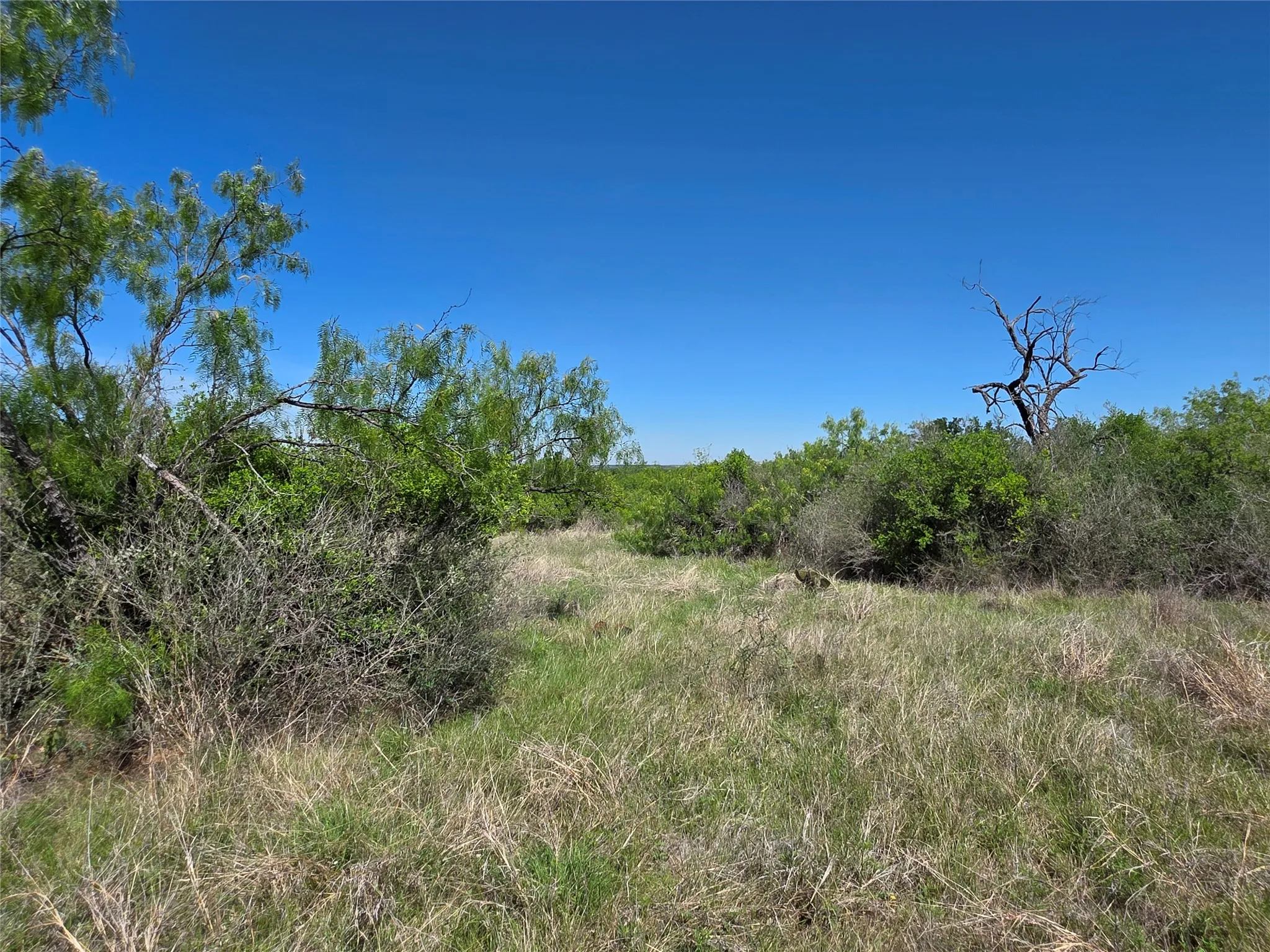 Ranch For Sale in San Saba County , 10315 FM 45, Richland Springs, Texas 76872, 0, 0, Garage spaces, 0 Sqft, built in 0, Price $352,578, mls#21159878, Real Estate Agent in Richland Springs, Homes For Sale in San Saba county, Homes For Sale in Richland Springs, Realtor in Richland Springs Texas, Real Estate Brokerage Independent Realty Texas, Luminita Cordes Realtor