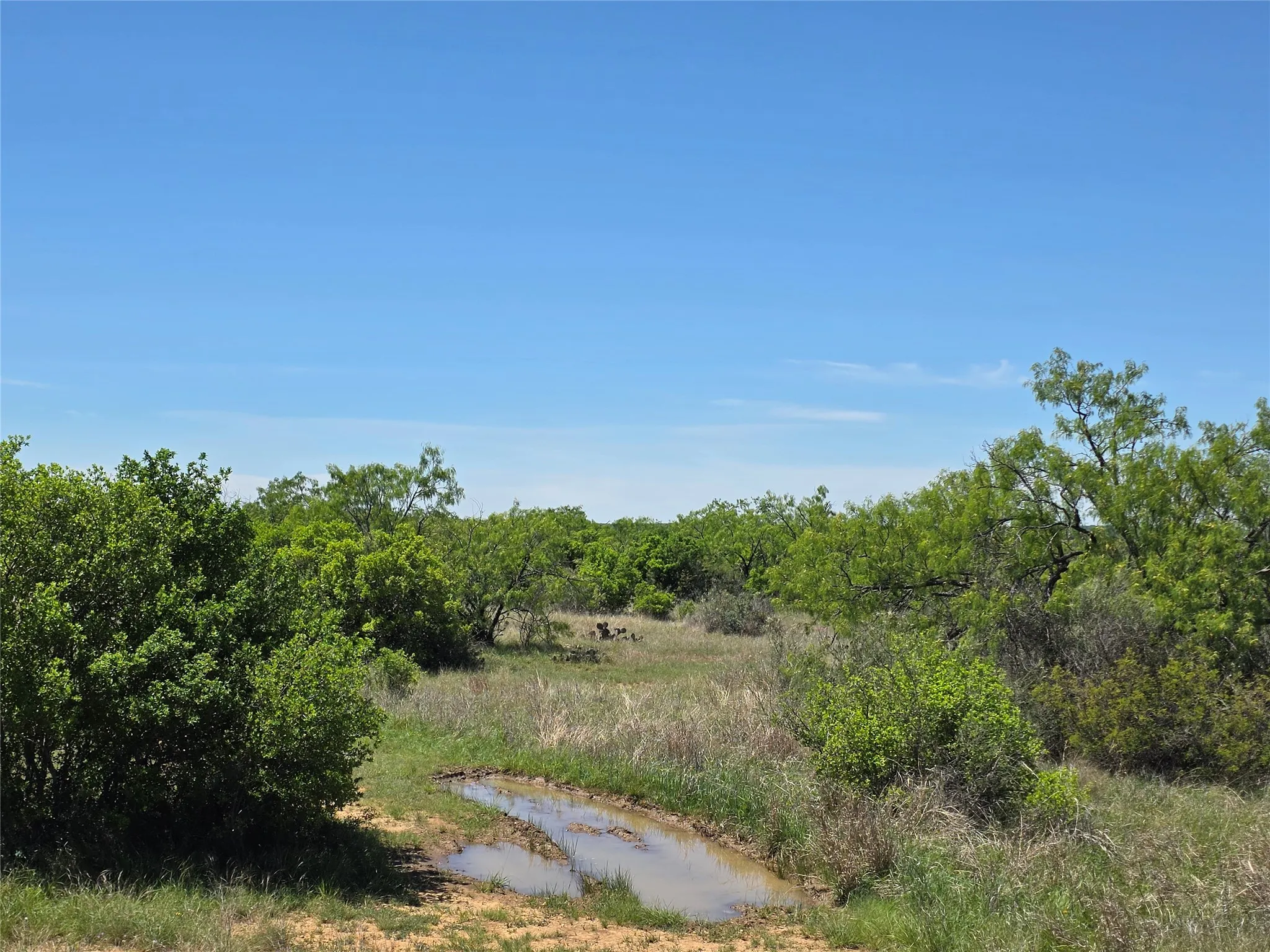 Ranch For Sale in San Saba County , 10315 FM 45, Richland Springs, Texas 76872, 0, 0, Garage spaces, 0 Sqft, built in 0, Price $352,578, mls#21159878, Real Estate Agent in Richland Springs, Homes For Sale in San Saba county, Homes For Sale in Richland Springs, Realtor in Richland Springs Texas, Real Estate Brokerage Independent Realty Texas, Luminita Cordes Realtor