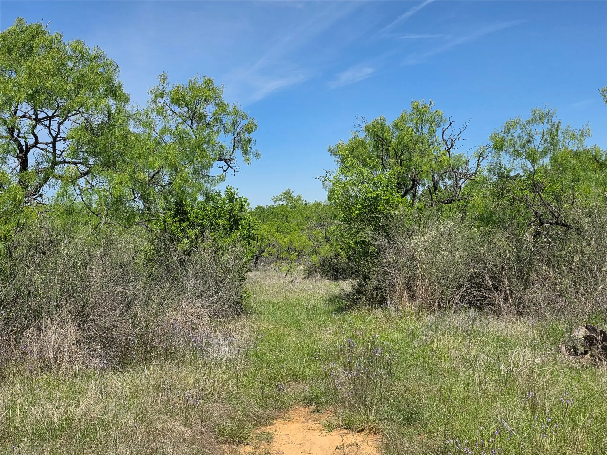 Ranch For Sale in San Saba County , 10315 FM 45, Richland Springs, Texas 76872, 0, 0, Garage spaces, 0 Sqft, built in 0, Price $352,578, mls#21159878, Real Estate Agent in Richland Springs, Homes For Sale in San Saba county, Homes For Sale in Richland Springs, Realtor in Richland Springs Texas, Real Estate Brokerage Independent Realty Texas, Luminita Cordes Realtor