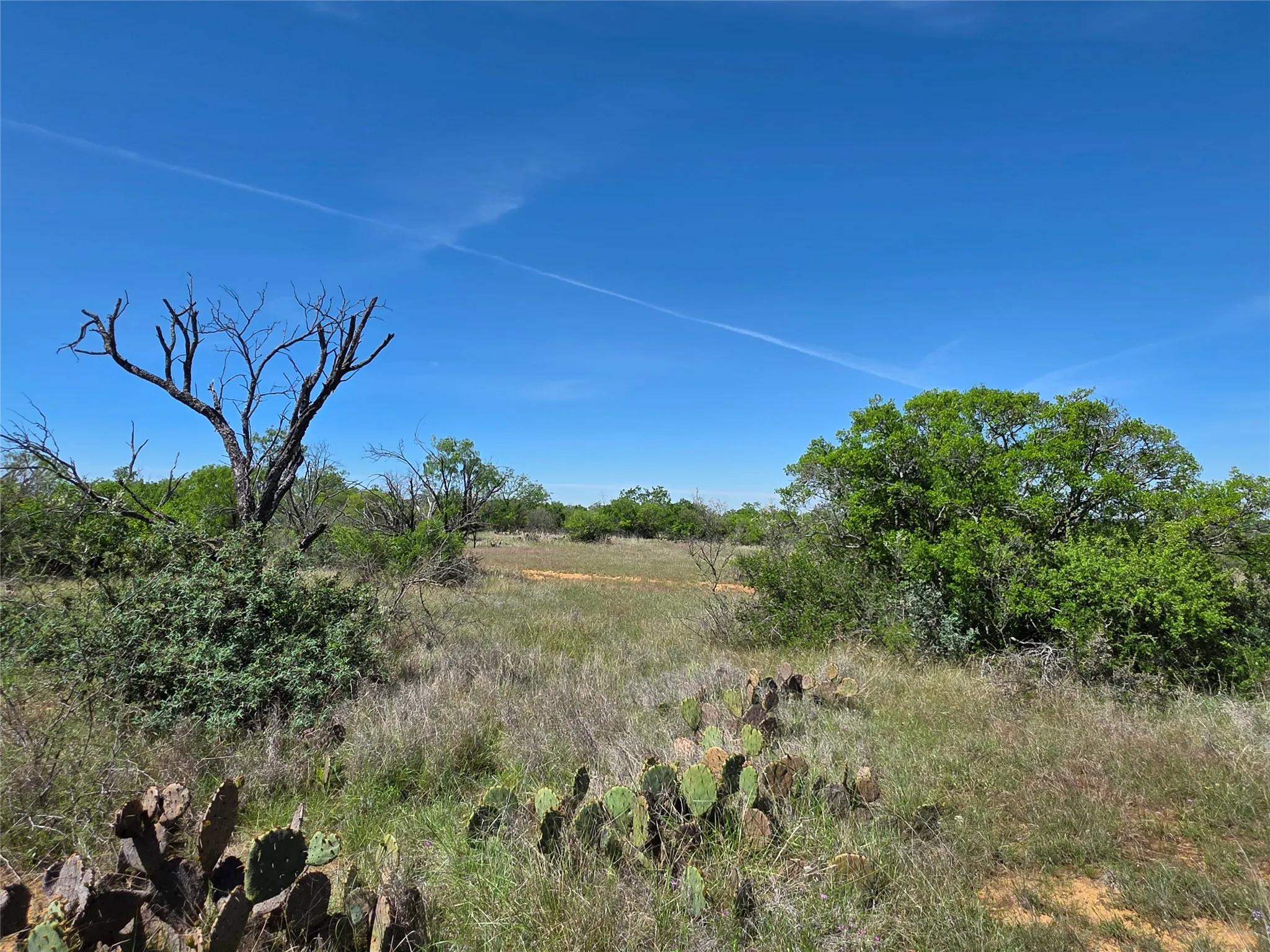 Ranch For Sale in San Saba County , 10315 FM 45, Richland Springs, Texas 76872, 0, 0, Garage spaces, 0 Sqft, built in 0, Price $352,578, mls#21159878, Real Estate Agent in Richland Springs, Homes For Sale in San Saba county, Homes For Sale in Richland Springs, Realtor in Richland Springs Texas, Real Estate Brokerage Independent Realty Texas, Luminita Cordes Realtor