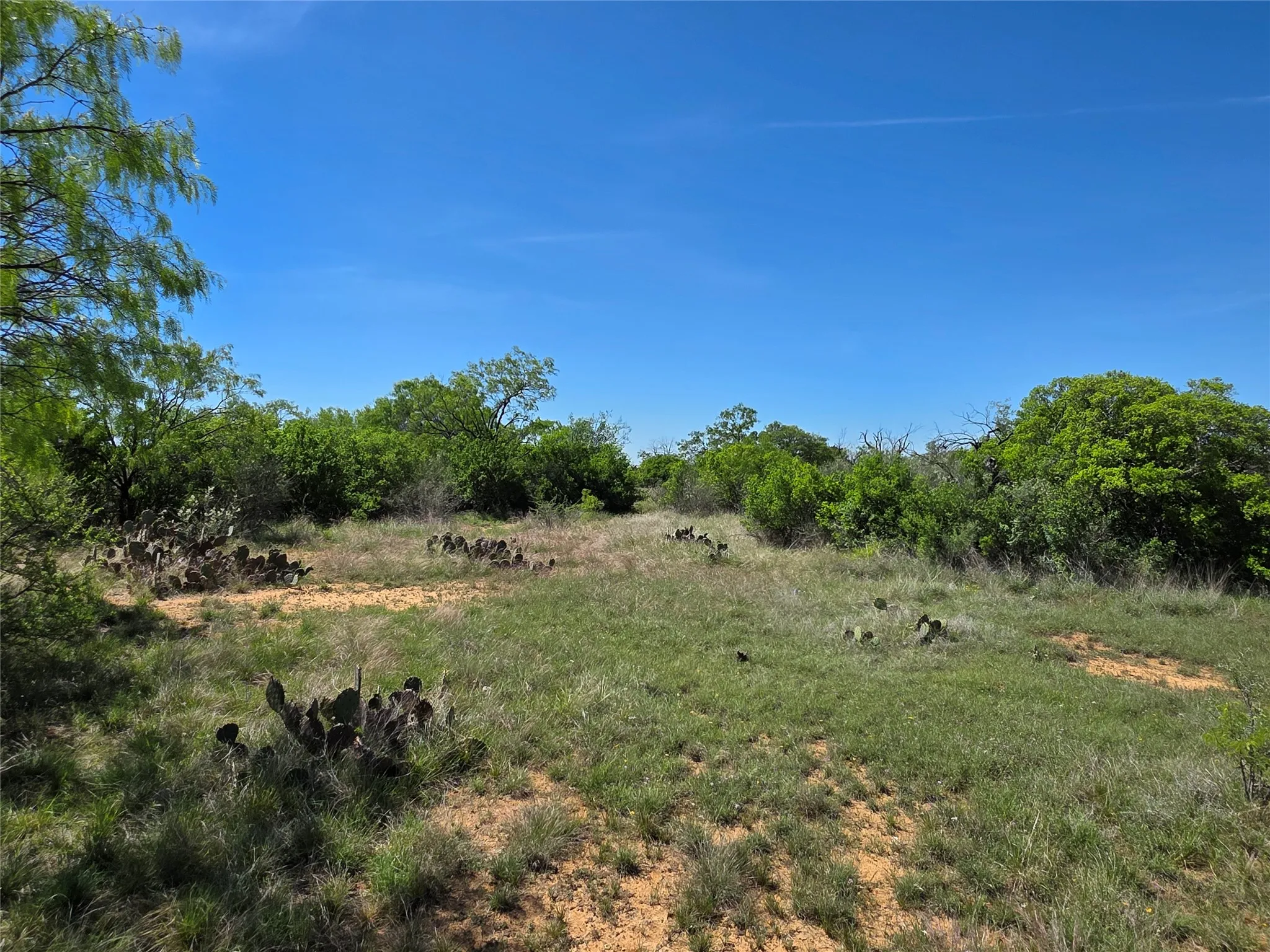 Ranch For Sale in San Saba County , 10315 FM 45, Richland Springs, Texas 76872, 0, 0, Garage spaces, 0 Sqft, built in 0, Price $352,578, mls#21159878, Real Estate Agent in Richland Springs, Homes For Sale in San Saba county, Homes For Sale in Richland Springs, Realtor in Richland Springs Texas, Real Estate Brokerage Independent Realty Texas, Luminita Cordes Realtor