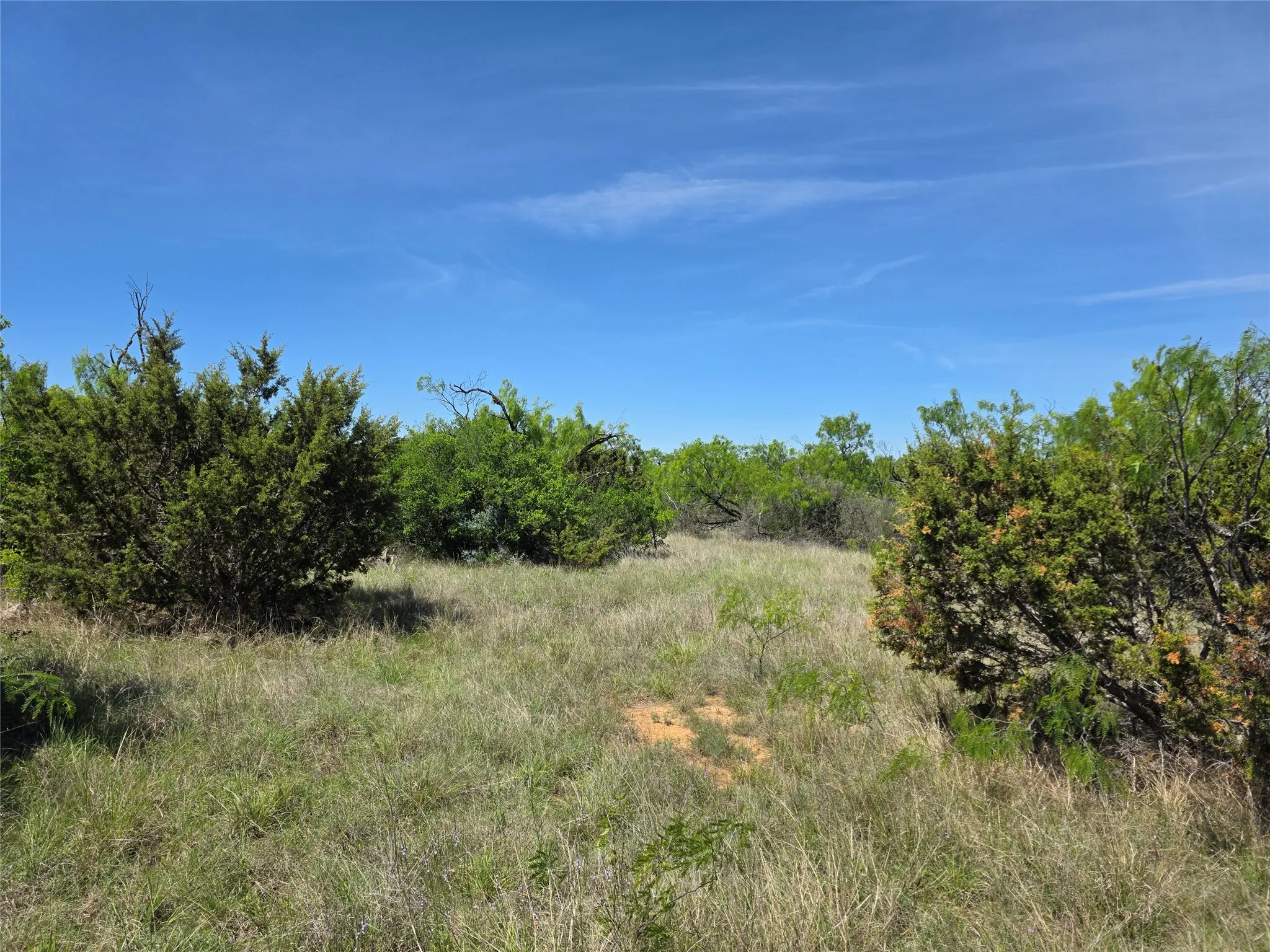 Ranch For Sale in San Saba County , 10315 FM 45, Richland Springs, Texas 76872, 0, 0, Garage spaces, 0 Sqft, built in 0, Price $352,578, mls#21159878, Real Estate Agent in Richland Springs, Homes For Sale in San Saba county, Homes For Sale in Richland Springs, Realtor in Richland Springs Texas, Real Estate Brokerage Independent Realty Texas, Luminita Cordes Realtor