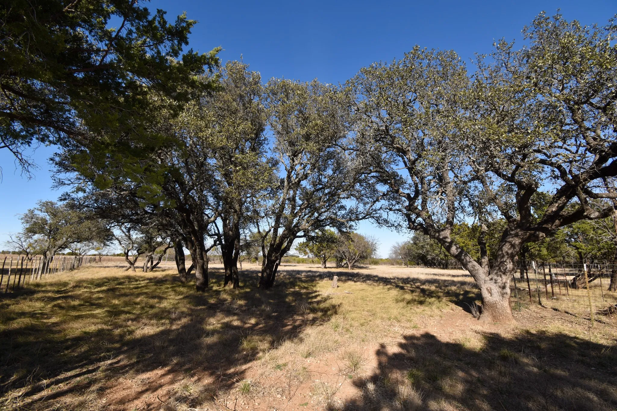 Mobile Home For Sale in Mc Culloch County , 1358 Fm 2315, Rochelle, Texas 76872, 3 Bedrooms, 2 Bathrooms, 2 Garage spaces, 1,560 Sqft, built in 2001, Price $350,000, mls#21159915, Real Estate Agent in Rochelle, Homes For Sale in Mc Culloch county, Homes For Sale in Rochelle, Realtor in Rochelle Texas, Real Estate Brokerage Independent Realty Texas, Luminita Cordes Realtor