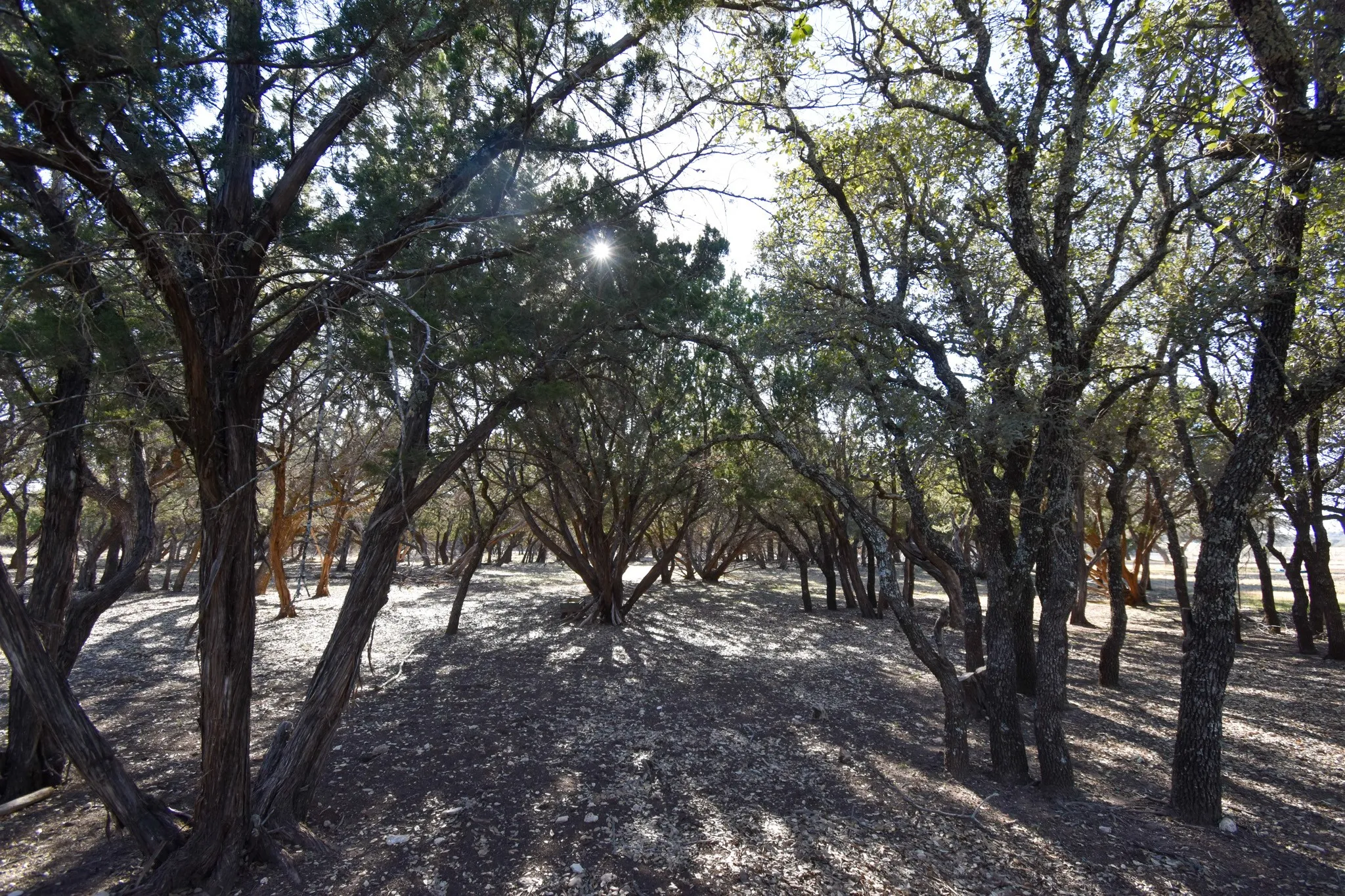 Mobile Home For Sale in Mc Culloch County , 1358 Fm 2315, Rochelle, Texas 76872, 3 Bedrooms, 2 Bathrooms, 2 Garage spaces, 1,560 Sqft, built in 2001, Price $350,000, mls#21159915, Real Estate Agent in Rochelle, Homes For Sale in Mc Culloch county, Homes For Sale in Rochelle, Realtor in Rochelle Texas, Real Estate Brokerage Independent Realty Texas, Luminita Cordes Realtor