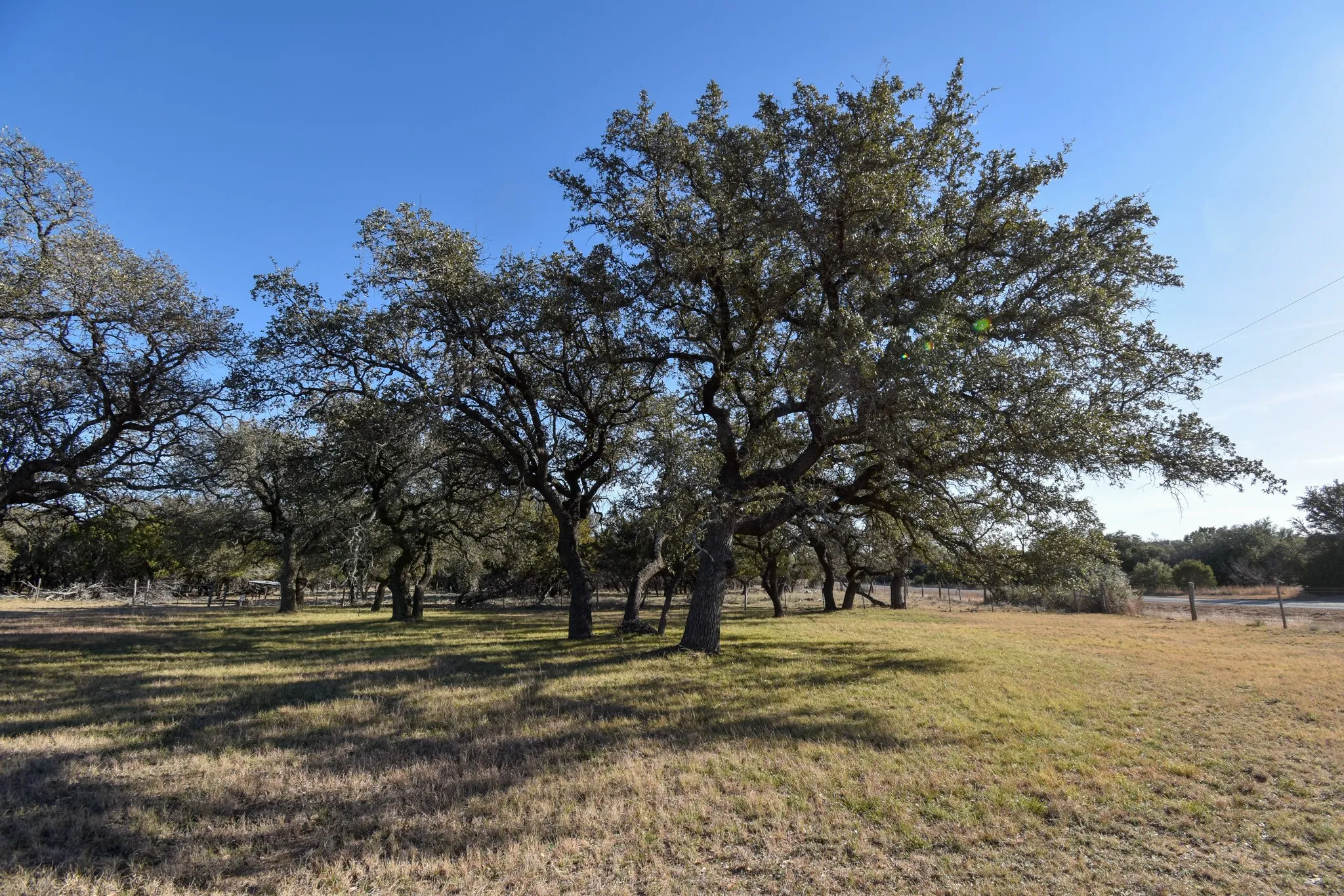Mobile Home For Sale in Mc Culloch County , 1358 Fm 2315, Rochelle, Texas 76872, 3 Bedrooms, 2 Bathrooms, 2 Garage spaces, 1,560 Sqft, built in 2001, Price $350,000, mls#21159915, Real Estate Agent in Rochelle, Homes For Sale in Mc Culloch county, Homes For Sale in Rochelle, Realtor in Rochelle Texas, Real Estate Brokerage Independent Realty Texas, Luminita Cordes Realtor