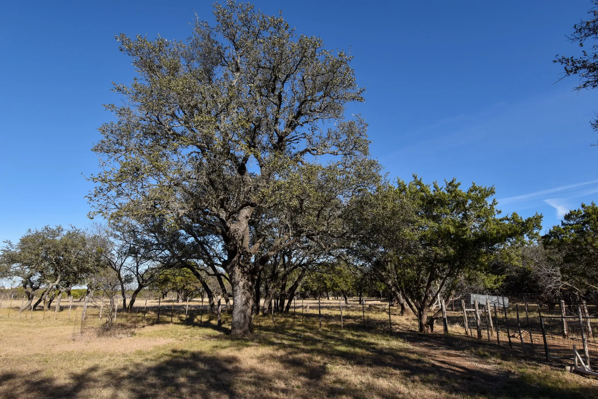 Mobile Home For Sale in Mc Culloch County , 1358 Fm 2315, Rochelle, Texas 76872, 3 Bedrooms, 2 Bathrooms, 2 Garage spaces, 1,560 Sqft, built in 2001, Price $350,000, mls#21159915, Real Estate Agent in Rochelle, Homes For Sale in Mc Culloch county, Homes For Sale in Rochelle, Realtor in Rochelle Texas, Real Estate Brokerage Independent Realty Texas, Luminita Cordes Realtor