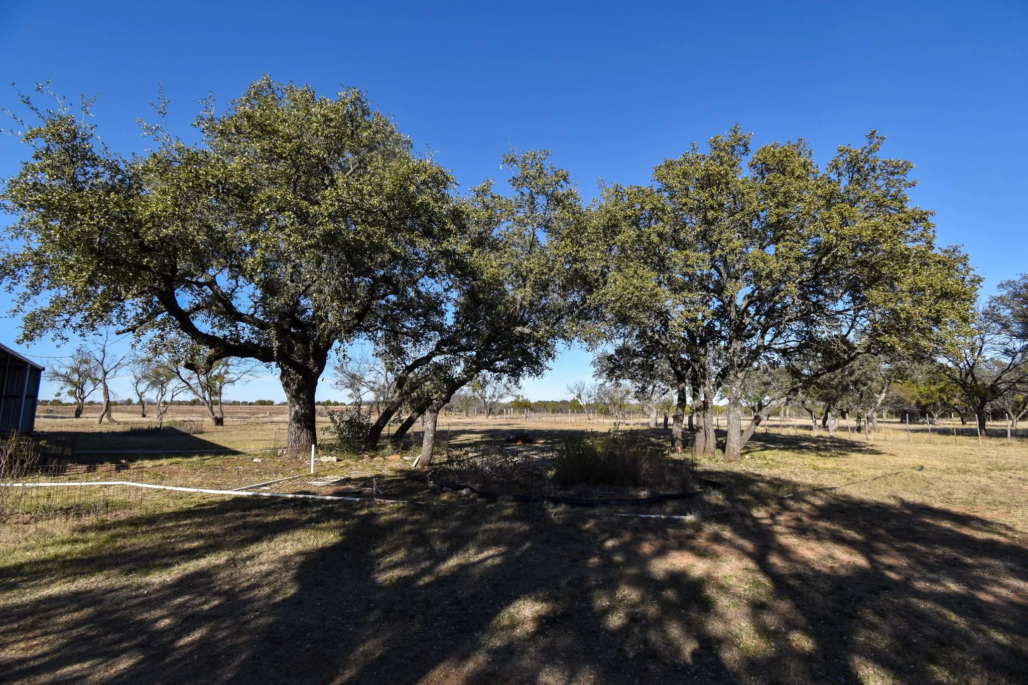 Mobile Home For Sale in Mc Culloch County , 1358 Fm 2315, Rochelle, Texas 76872, 3 Bedrooms, 2 Bathrooms, 2 Garage spaces, 1,560 Sqft, built in 2001, Price $350,000, mls#21159915, Real Estate Agent in Rochelle, Homes For Sale in Mc Culloch county, Homes For Sale in Rochelle, Realtor in Rochelle Texas, Real Estate Brokerage Independent Realty Texas, Luminita Cordes Realtor