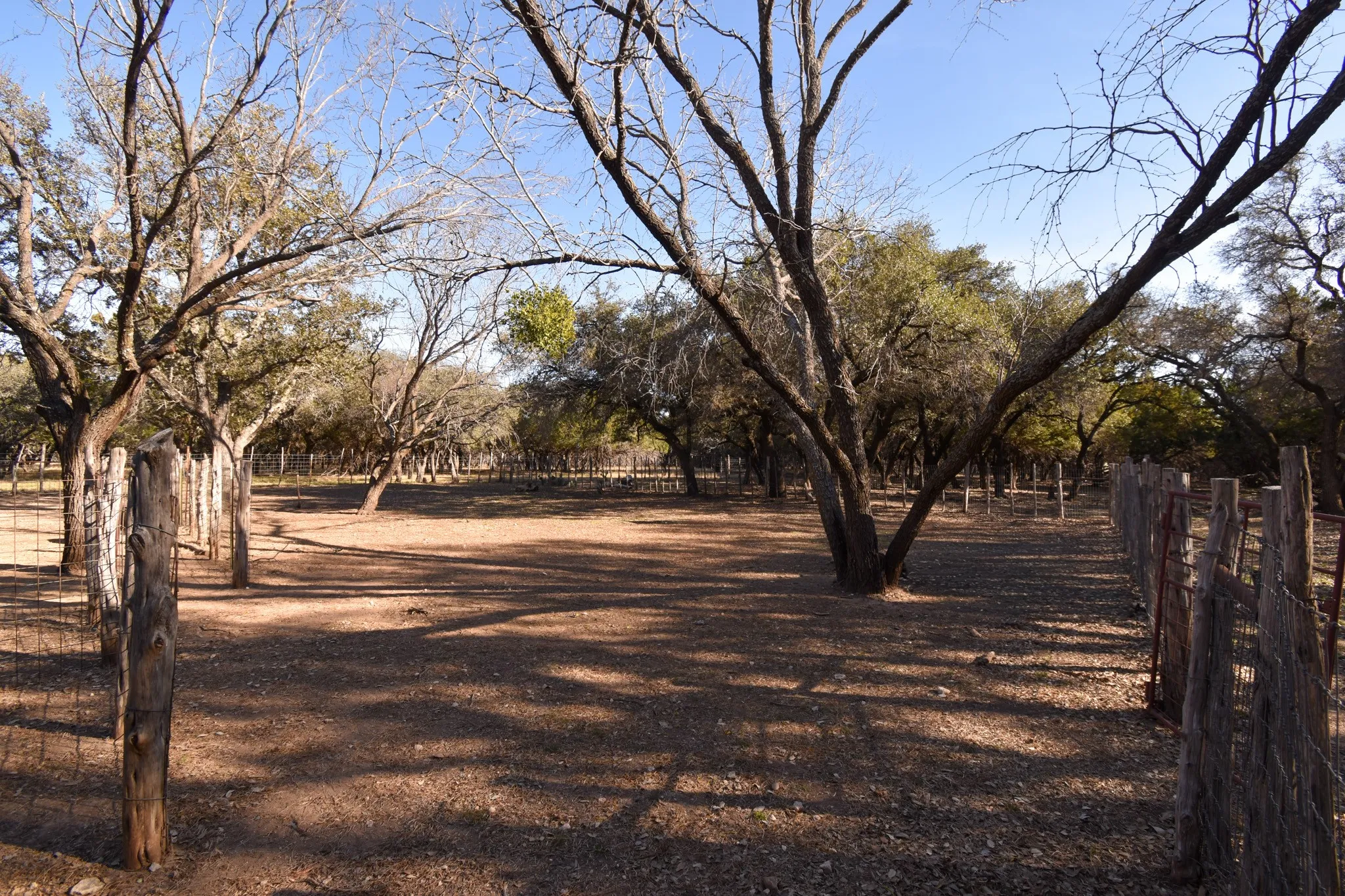 Mobile Home For Sale in Mc Culloch County , 1358 Fm 2315, Rochelle, Texas 76872, 3 Bedrooms, 2 Bathrooms, 2 Garage spaces, 1,560 Sqft, built in 2001, Price $350,000, mls#21159915, Real Estate Agent in Rochelle, Homes For Sale in Mc Culloch county, Homes For Sale in Rochelle, Realtor in Rochelle Texas, Real Estate Brokerage Independent Realty Texas, Luminita Cordes Realtor