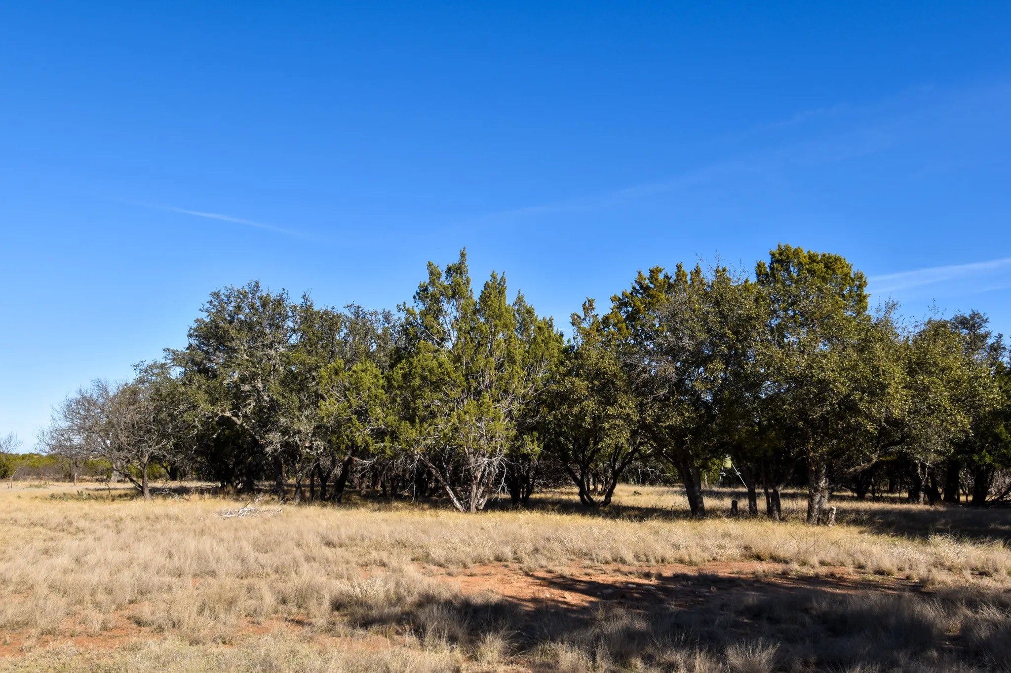 Mobile Home For Sale in Mc Culloch County , 1358 Fm 2315, Rochelle, Texas 76872, 3 Bedrooms, 2 Bathrooms, 2 Garage spaces, 1,560 Sqft, built in 2001, Price $350,000, mls#21159915, Real Estate Agent in Rochelle, Homes For Sale in Mc Culloch county, Homes For Sale in Rochelle, Realtor in Rochelle Texas, Real Estate Brokerage Independent Realty Texas, Luminita Cordes Realtor