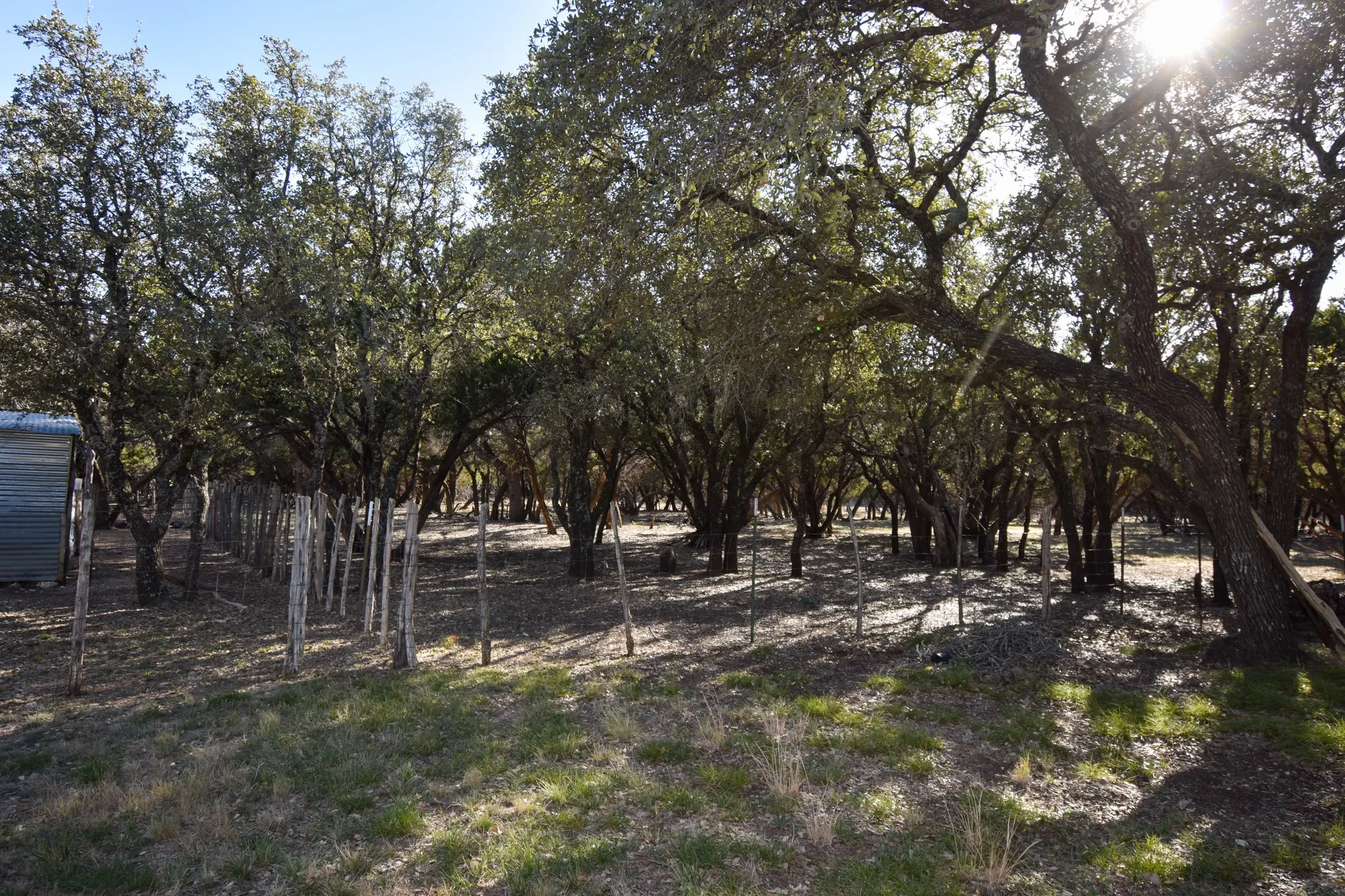 Mobile Home For Sale in Mc Culloch County , 1358 Fm 2315, Rochelle, Texas 76872, 3 Bedrooms, 2 Bathrooms, 2 Garage spaces, 1,560 Sqft, built in 2001, Price $350,000, mls#21159915, Real Estate Agent in Rochelle, Homes For Sale in Mc Culloch county, Homes For Sale in Rochelle, Realtor in Rochelle Texas, Real Estate Brokerage Independent Realty Texas, Luminita Cordes Realtor