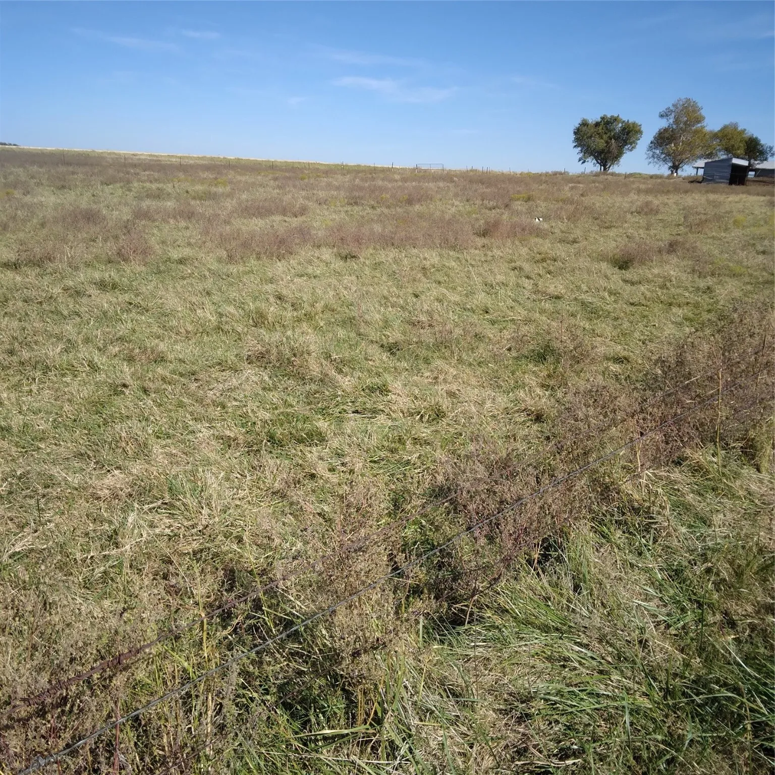 View of Subject Land