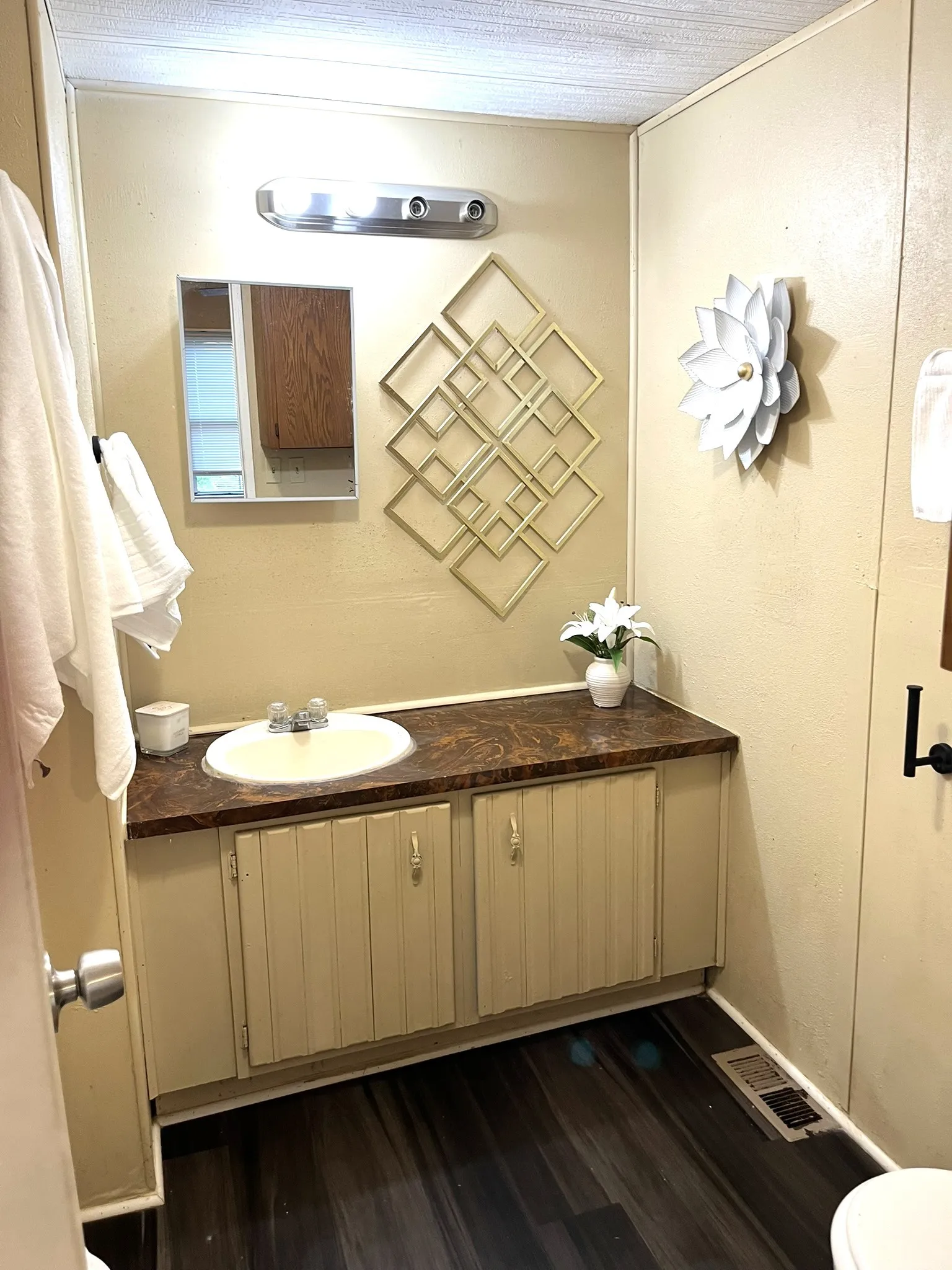 Bathroom featuring vanity and dark wood-style floors