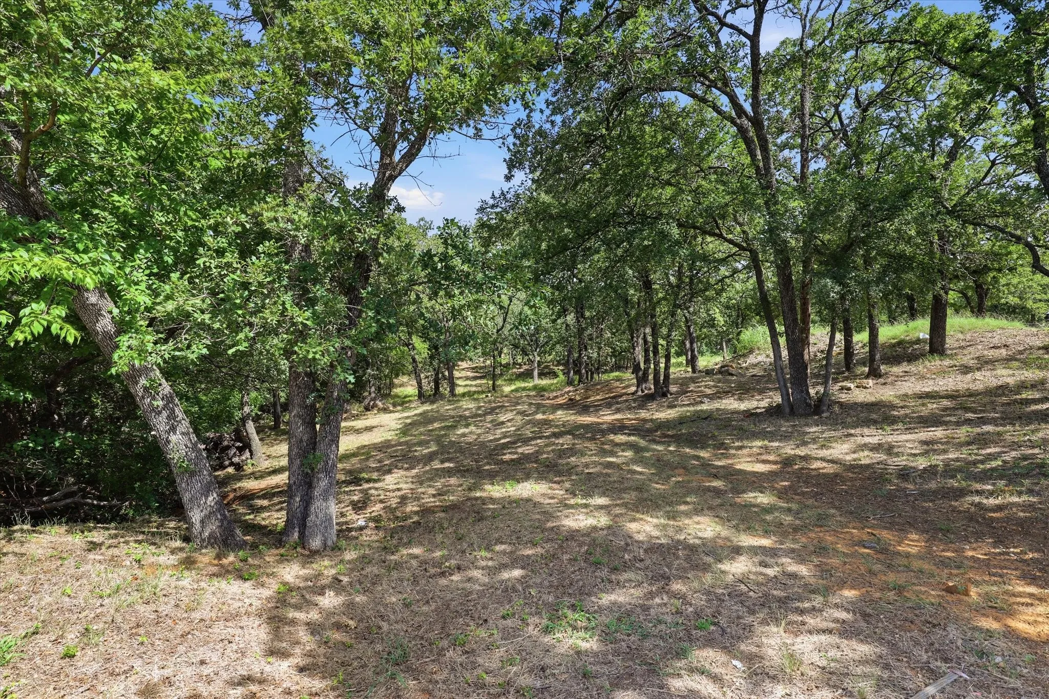 Unimproved Land For Sale in Denton County , 18 Royal Oaks Boulevard, Hickory Creek, Texas 75065, 0, 0, Garage spaces, 0 Sqft, built in 0, mls#21160108, Real Estate Agent in Hickory Creek, Homes For Sale in Denton county, Homes For Sale in Hickory Creek, Realtor in Hickory Creek Texas, Real Estate Brokerage Independent Realty Texas, Luminita Cordes Realtor