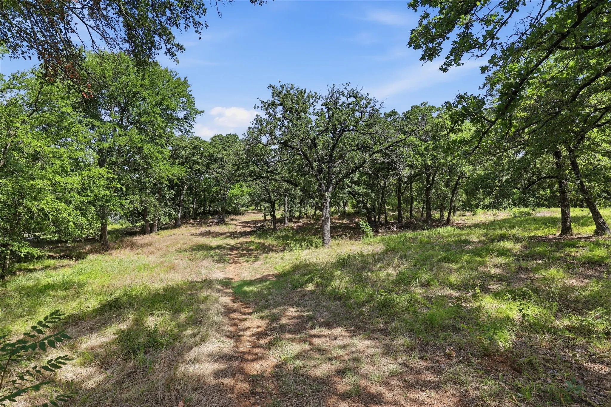 Unimproved Land For Sale in Denton County , 18 Royal Oaks Boulevard, Hickory Creek, Texas 75065, 0, 0, Garage spaces, 0 Sqft, built in 0, mls#21160108, Real Estate Agent in Hickory Creek, Homes For Sale in Denton county, Homes For Sale in Hickory Creek, Realtor in Hickory Creek Texas, Real Estate Brokerage Independent Realty Texas, Luminita Cordes Realtor
