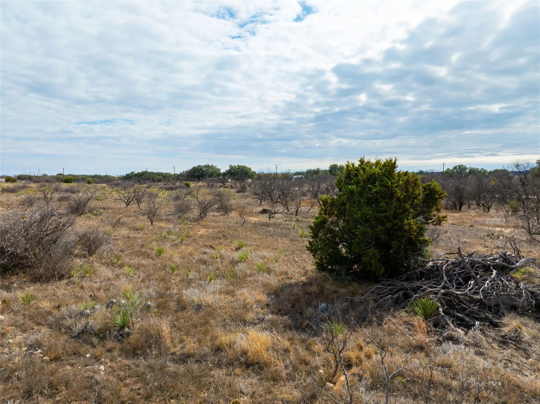 Ranch For Sale in Coleman County , 100 FM 503, Coleman, Texas 76834, 0, 0, Garage spaces, 0 Sqft, built in 0, Price $120,000, mls#21160605, Real Estate Agent in Coleman, Homes For Sale in Coleman county, Homes For Sale in Coleman, Realtor in Coleman Texas, Real Estate Brokerage Independent Realty Texas, Luminita Cordes Realtor
