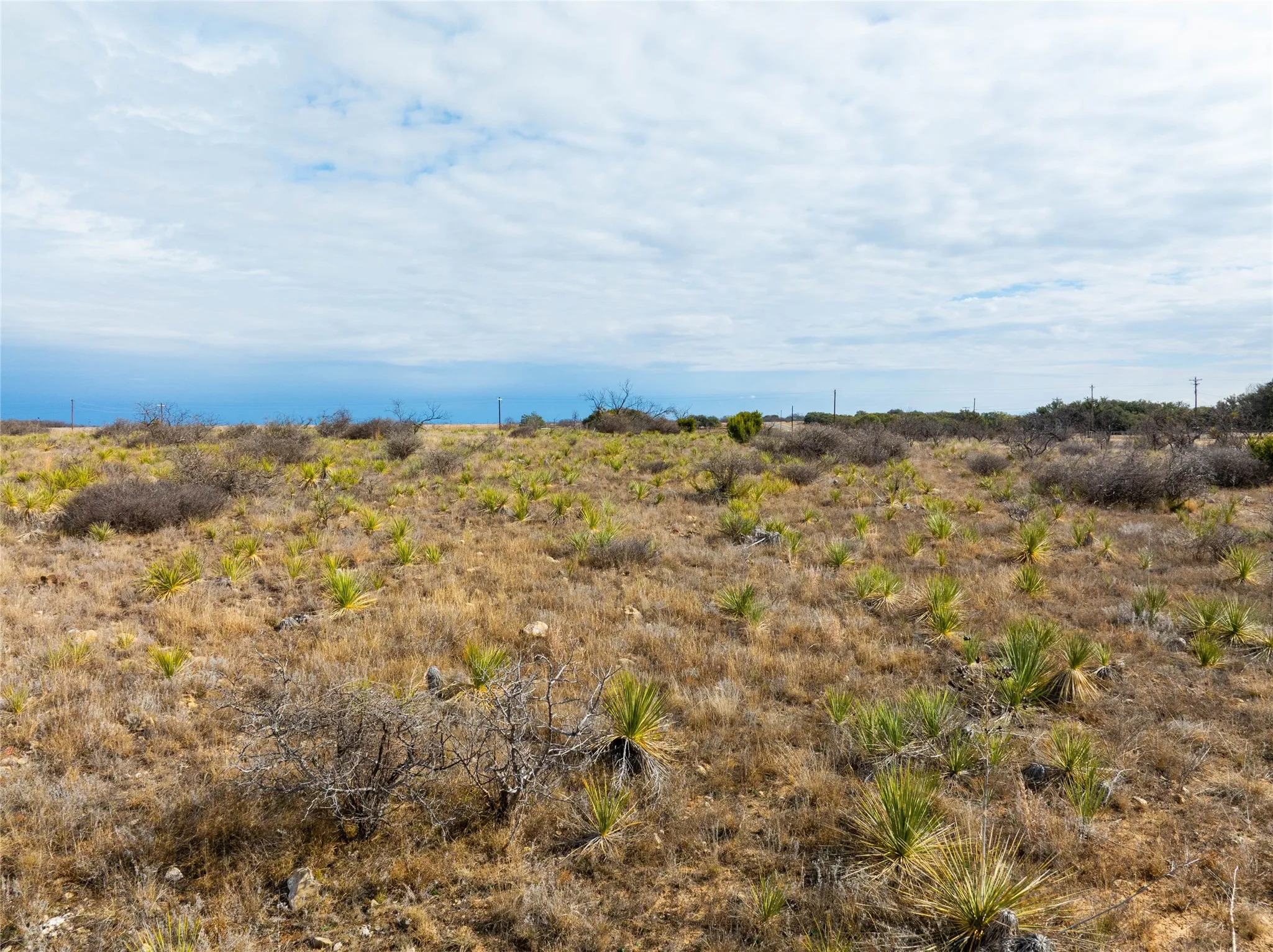 Ranch For Sale in Coleman County , 100 FM 503, Coleman, Texas 76834, 0, 0, Garage spaces, 0 Sqft, built in 0, Price $120,000, mls#21160605, Real Estate Agent in Coleman, Homes For Sale in Coleman county, Homes For Sale in Coleman, Realtor in Coleman Texas, Real Estate Brokerage Independent Realty Texas, Luminita Cordes Realtor