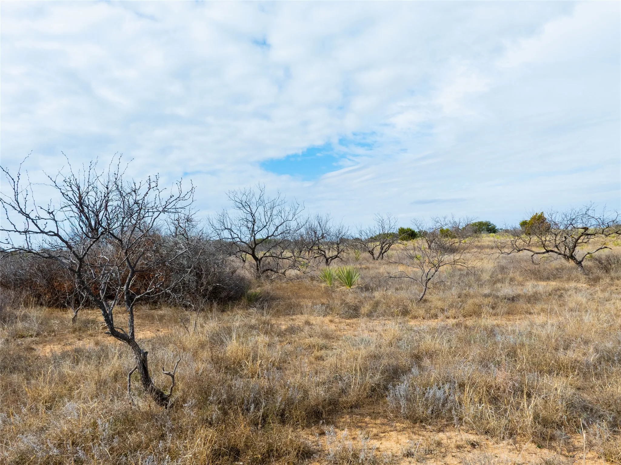 Ranch For Sale in Coleman County , 100 FM 503, Coleman, Texas 76834, 0, 0, Garage spaces, 0 Sqft, built in 0, Price $120,000, mls#21160605, Real Estate Agent in Coleman, Homes For Sale in Coleman county, Homes For Sale in Coleman, Realtor in Coleman Texas, Real Estate Brokerage Independent Realty Texas, Luminita Cordes Realtor