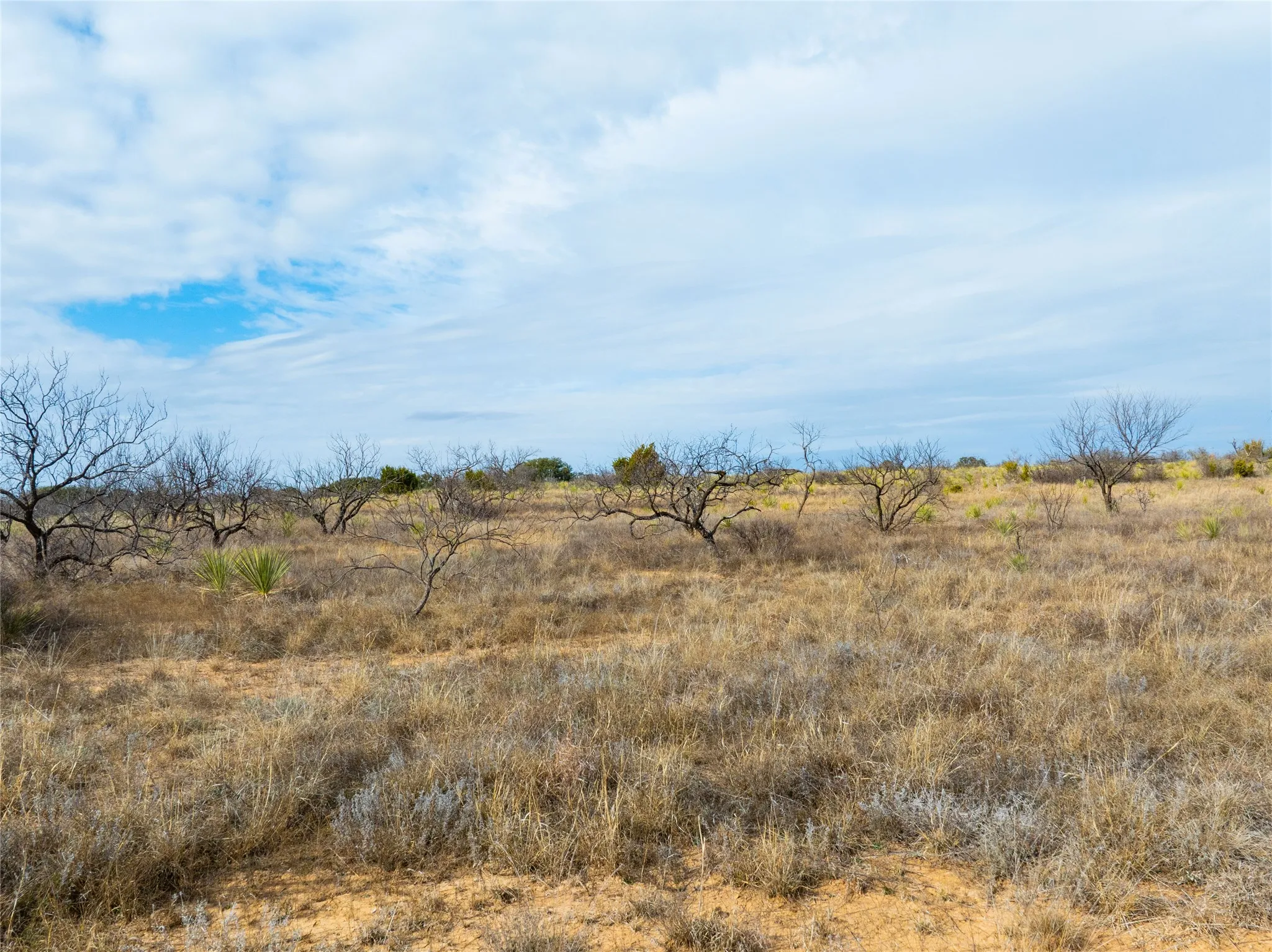 Ranch For Sale in Coleman County , 100 FM 503, Coleman, Texas 76834, 0, 0, Garage spaces, 0 Sqft, built in 0, Price $120,000, mls#21160605, Real Estate Agent in Coleman, Homes For Sale in Coleman county, Homes For Sale in Coleman, Realtor in Coleman Texas, Real Estate Brokerage Independent Realty Texas, Luminita Cordes Realtor