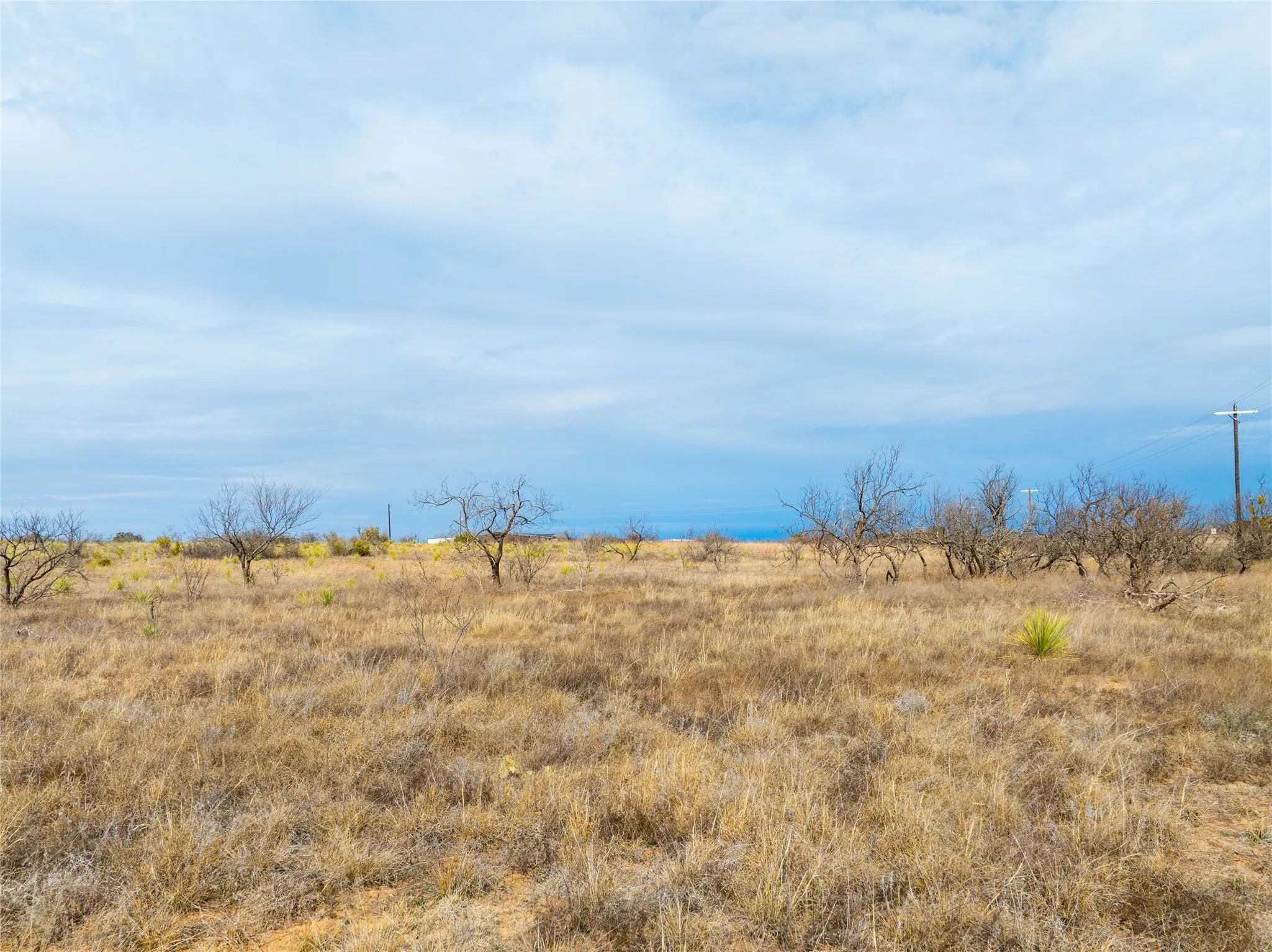 Ranch For Sale in Coleman County , 100 FM 503, Coleman, Texas 76834, 0, 0, Garage spaces, 0 Sqft, built in 0, Price $120,000, mls#21160605, Real Estate Agent in Coleman, Homes For Sale in Coleman county, Homes For Sale in Coleman, Realtor in Coleman Texas, Real Estate Brokerage Independent Realty Texas, Luminita Cordes Realtor