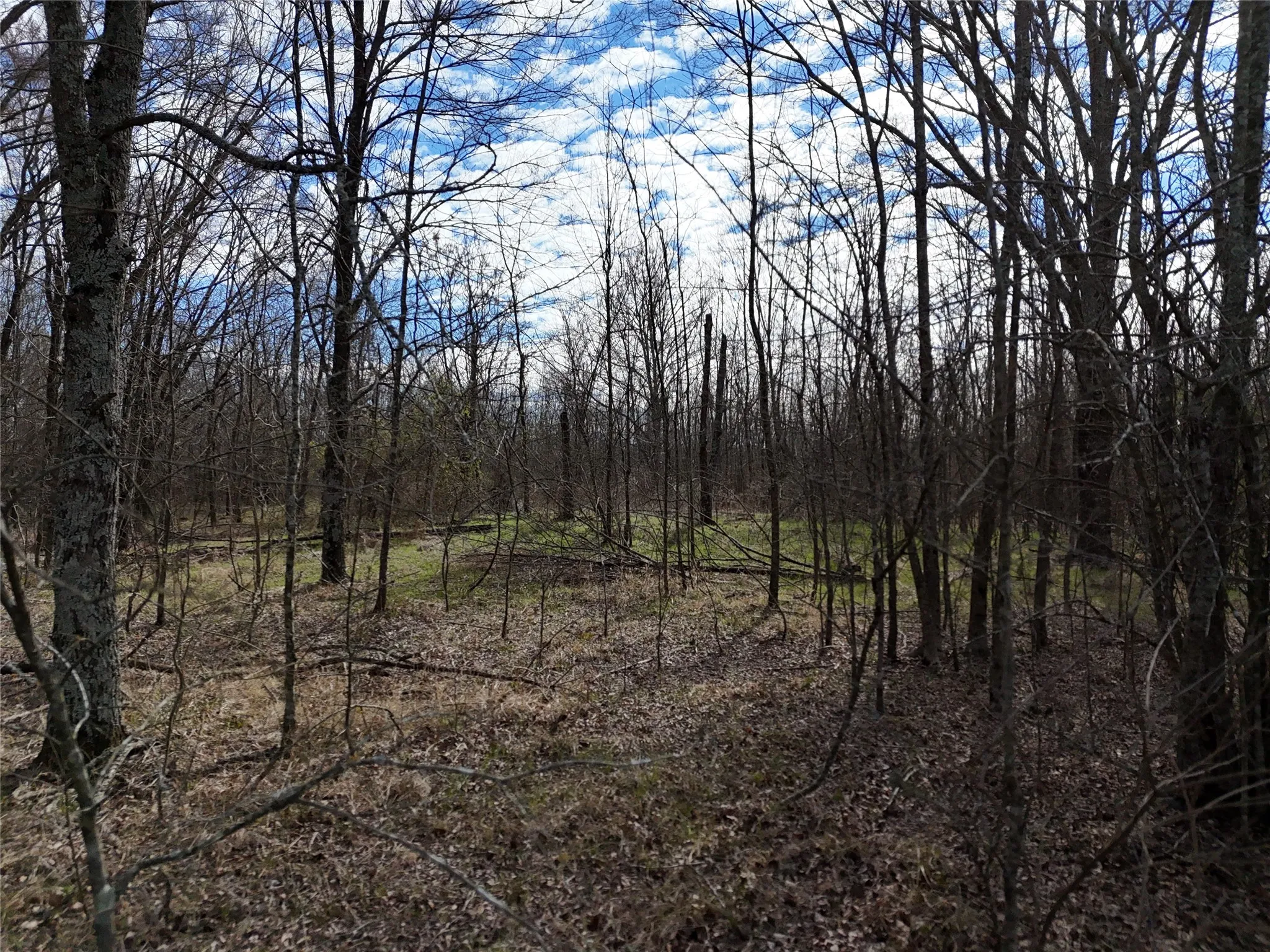 Unimproved Land For Sale in Franklin (TX) County , 1050 Highway 37, Talco, Texas 75487, 0, 0, Garage spaces, 0 Sqft, built in 0, mls#21160736, Real Estate Agent in Talco, Homes For Sale in Franklin (TX) county, Homes For Sale in Talco, Realtor in Talco Texas, Real Estate Brokerage Independent Realty Texas, Luminita Cordes Realtor