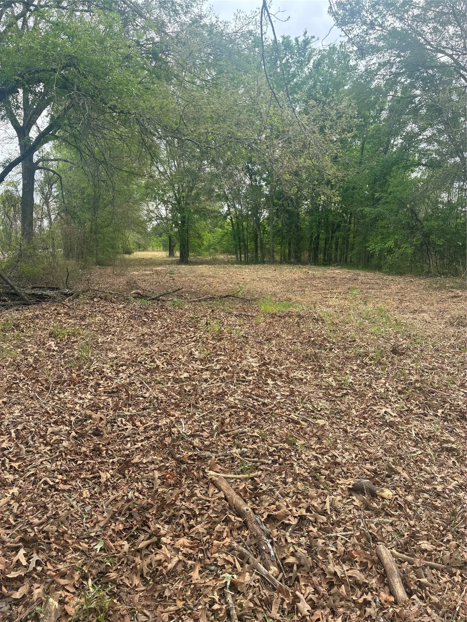 Unimproved Land For Sale in Franklin (TX) County , 1050 Highway 37, Talco, Texas 75487, 0, 0, Garage spaces, 0 Sqft, built in 0, mls#21160736, Real Estate Agent in Talco, Homes For Sale in Franklin (TX) county, Homes For Sale in Talco, Realtor in Talco Texas, Real Estate Brokerage Independent Realty Texas, Luminita Cordes Realtor