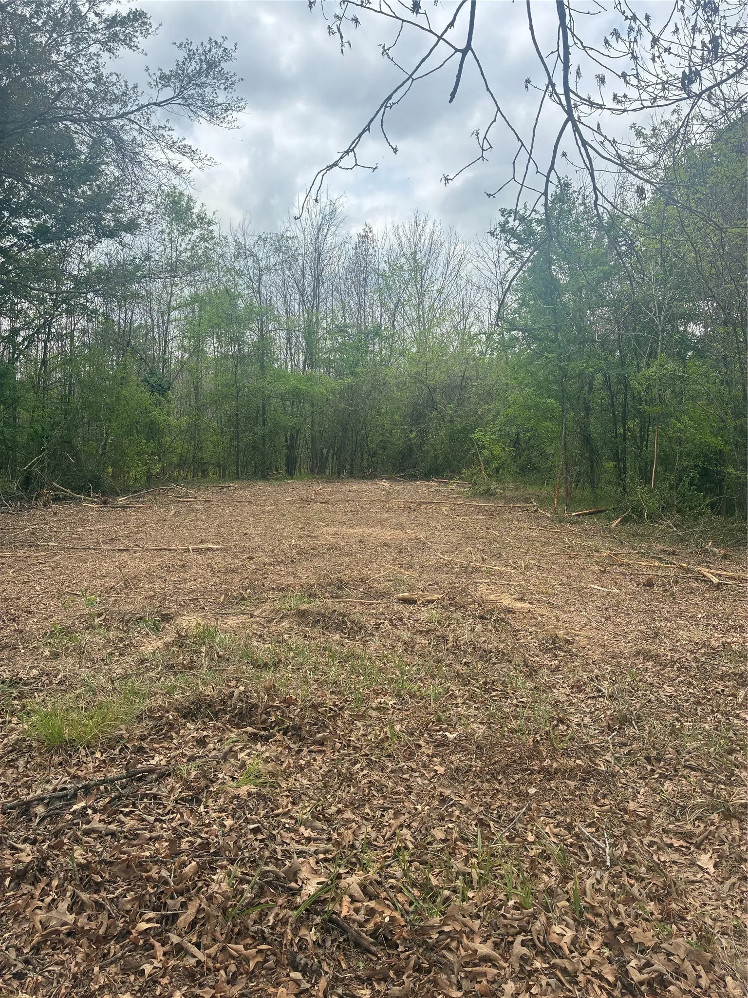 Unimproved Land For Sale in Franklin (TX) County , 1050 Highway 37, Talco, Texas 75487, 0, 0, Garage spaces, 0 Sqft, built in 0, mls#21160736, Real Estate Agent in Talco, Homes For Sale in Franklin (TX) county, Homes For Sale in Talco, Realtor in Talco Texas, Real Estate Brokerage Independent Realty Texas, Luminita Cordes Realtor