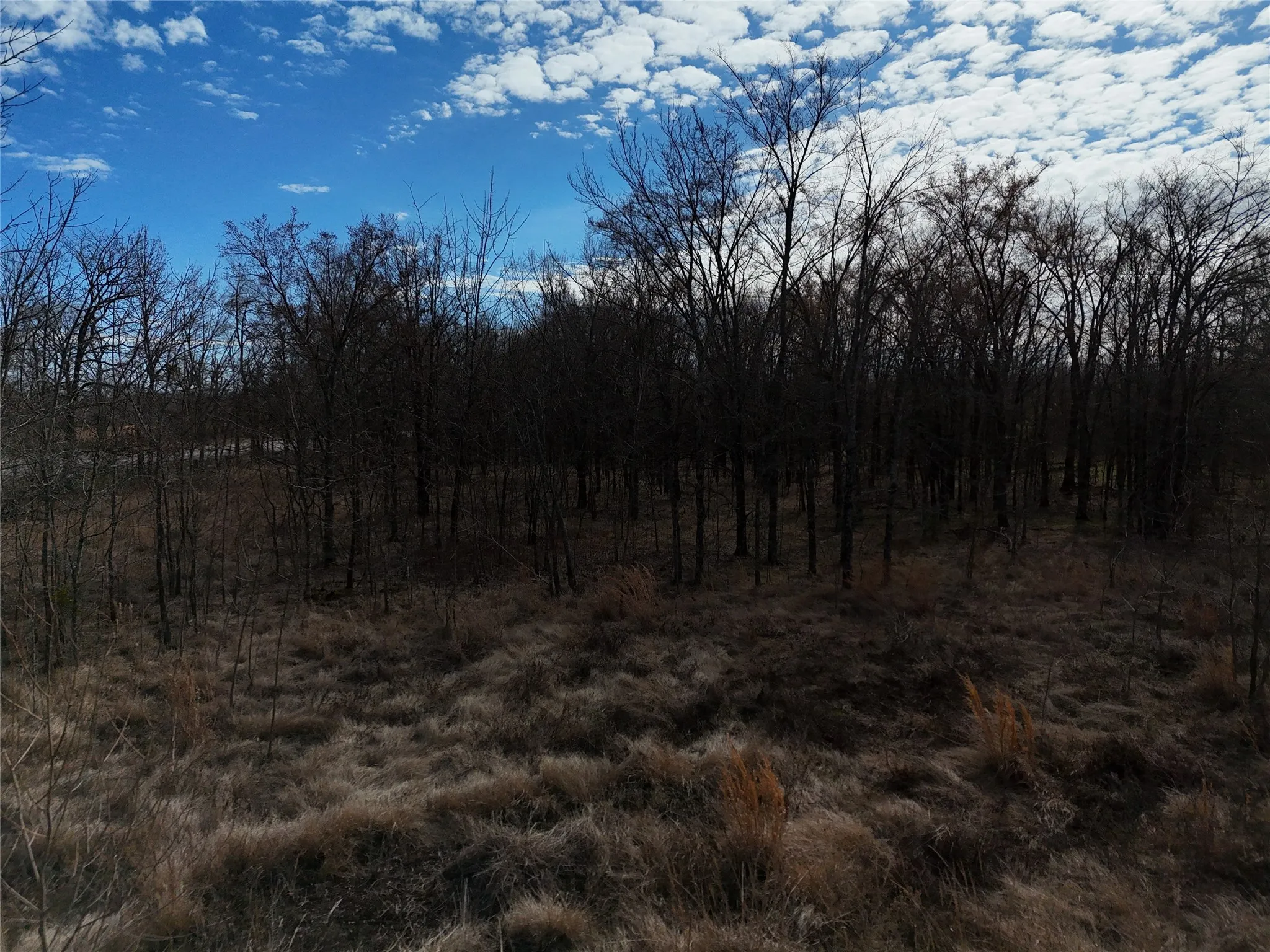 Unimproved Land For Sale in Franklin (TX) County , 1050 Highway 37, Talco, Texas 75487, 0, 0, Garage spaces, 0 Sqft, built in 0, mls#21160736, Real Estate Agent in Talco, Homes For Sale in Franklin (TX) county, Homes For Sale in Talco, Realtor in Talco Texas, Real Estate Brokerage Independent Realty Texas, Luminita Cordes Realtor