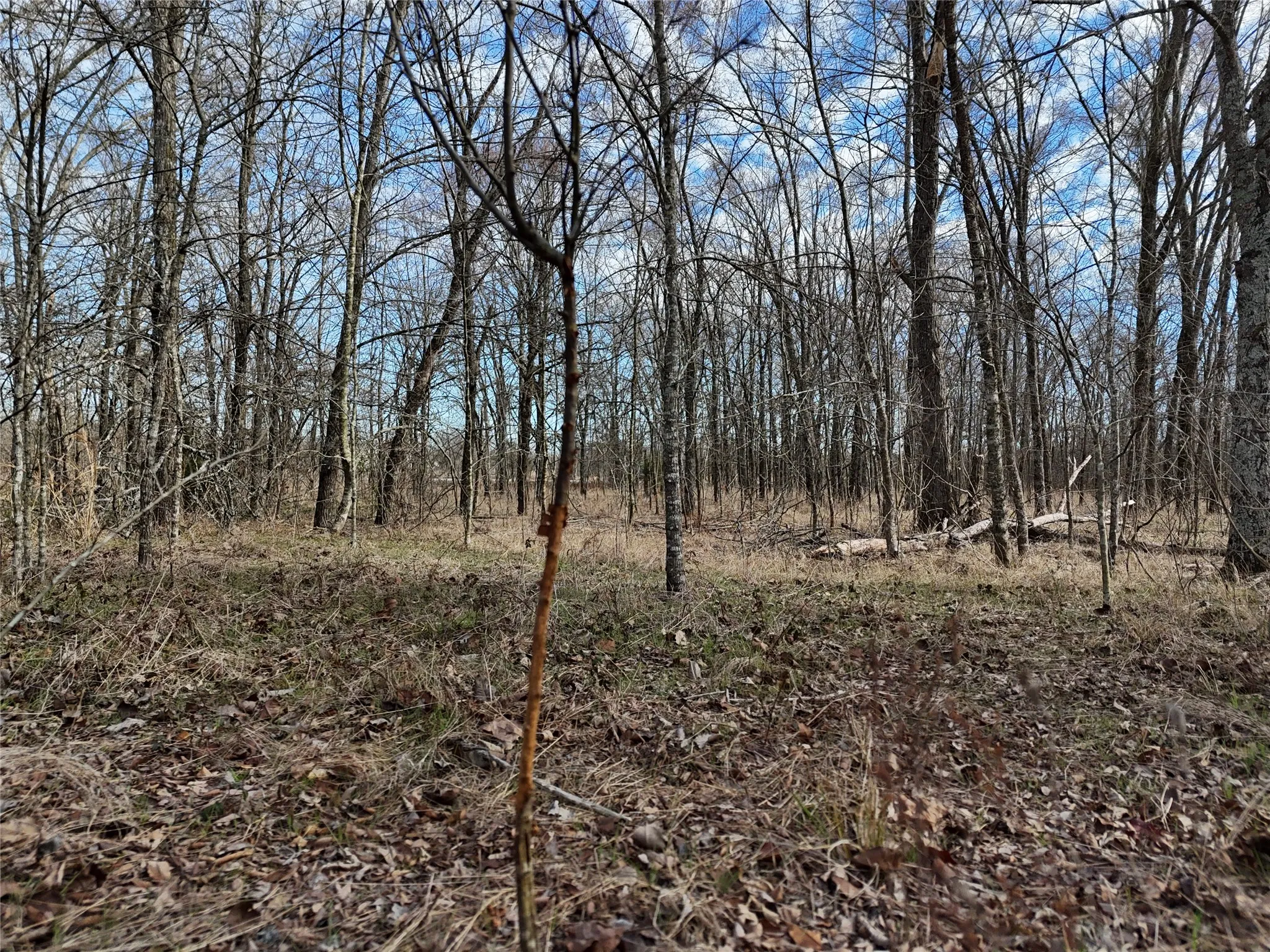 Unimproved Land For Sale in Franklin (TX) County , 1050 Highway 37, Talco, Texas 75487, 0, 0, Garage spaces, 0 Sqft, built in 0, mls#21160736, Real Estate Agent in Talco, Homes For Sale in Franklin (TX) county, Homes For Sale in Talco, Realtor in Talco Texas, Real Estate Brokerage Independent Realty Texas, Luminita Cordes Realtor