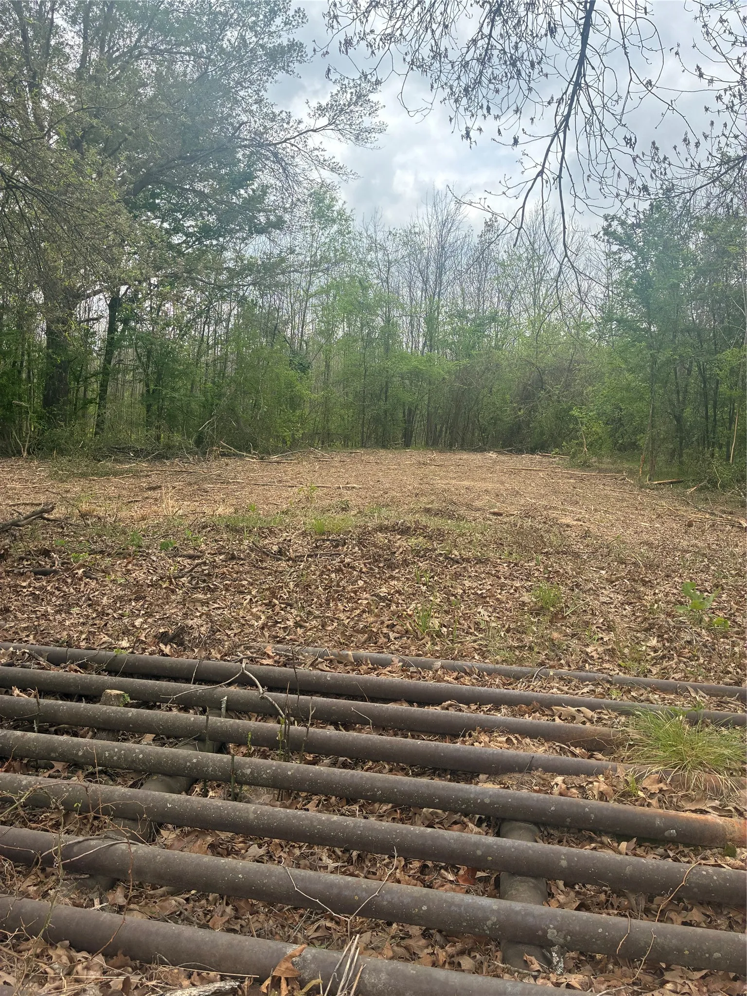 Unimproved Land For Sale in Franklin (TX) County , 1050 Highway 37, Talco, Texas 75487, 0, 0, Garage spaces, 0 Sqft, built in 0, mls#21160736, Real Estate Agent in Talco, Homes For Sale in Franklin (TX) county, Homes For Sale in Talco, Realtor in Talco Texas, Real Estate Brokerage Independent Realty Texas, Luminita Cordes Realtor