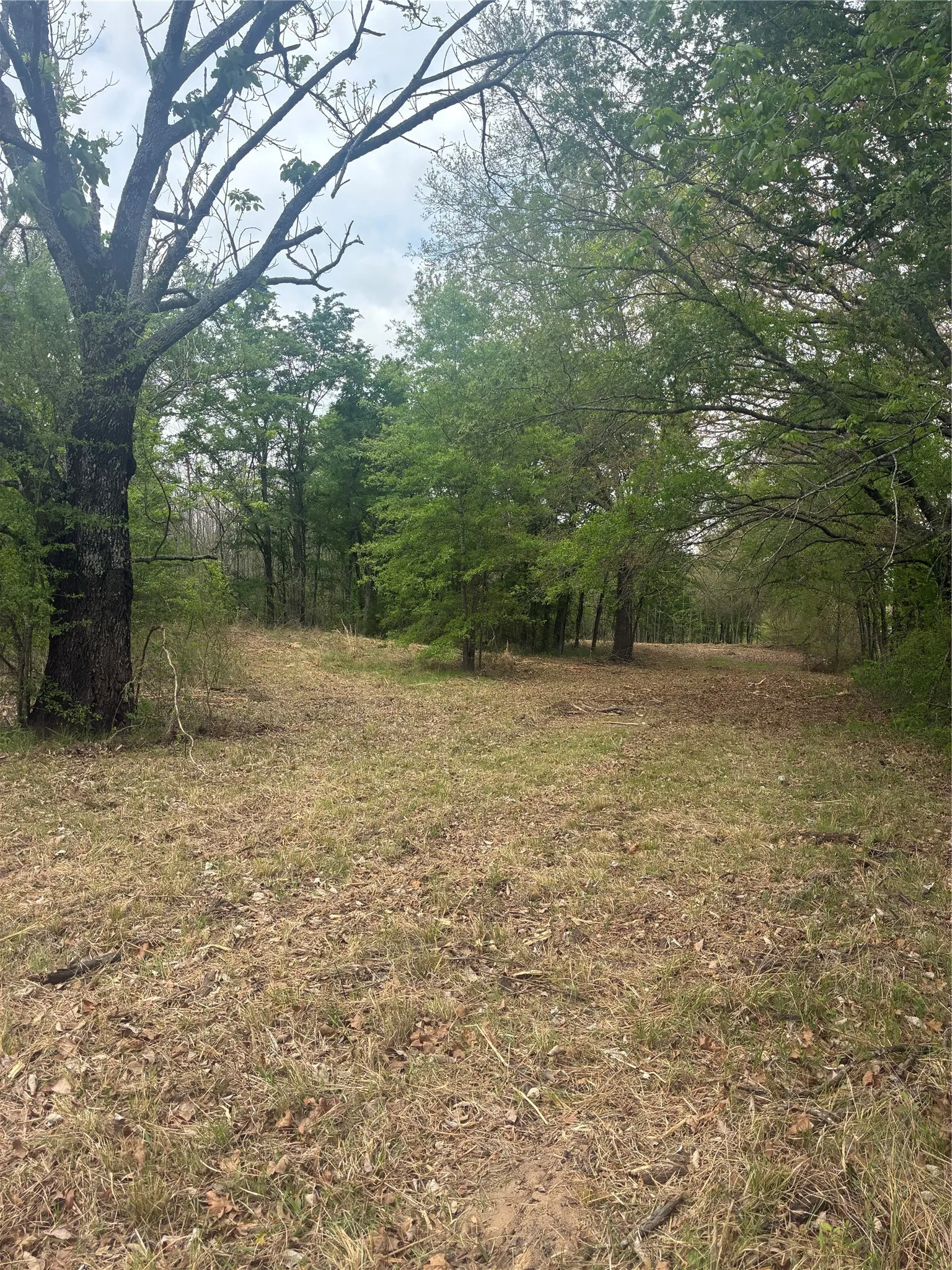 Unimproved Land For Sale in Franklin (TX) County , 1050 Highway 37, Talco, Texas 75487, 0, 0, Garage spaces, 0 Sqft, built in 0, mls#21160736, Real Estate Agent in Talco, Homes For Sale in Franklin (TX) county, Homes For Sale in Talco, Realtor in Talco Texas, Real Estate Brokerage Independent Realty Texas, Luminita Cordes Realtor