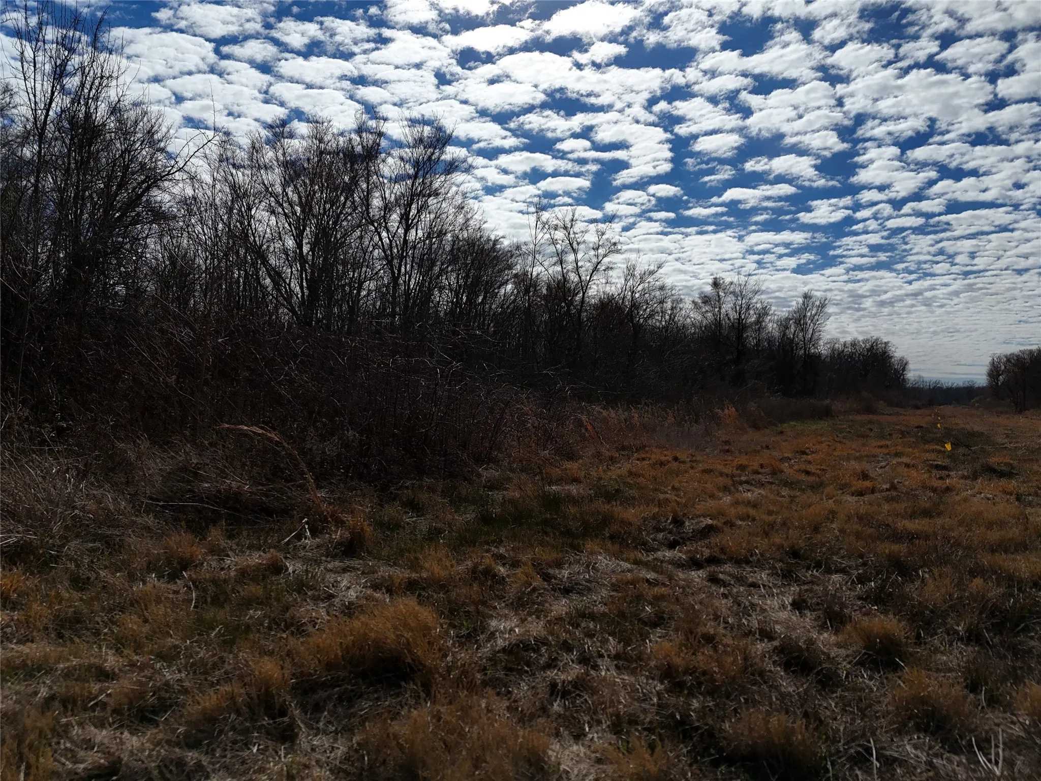 Unimproved Land For Sale in Franklin (TX) County , 1050 Highway 37, Talco, Texas 75487, 0, 0, Garage spaces, 0 Sqft, built in 0, mls#21160736, Real Estate Agent in Talco, Homes For Sale in Franklin (TX) county, Homes For Sale in Talco, Realtor in Talco Texas, Real Estate Brokerage Independent Realty Texas, Luminita Cordes Realtor