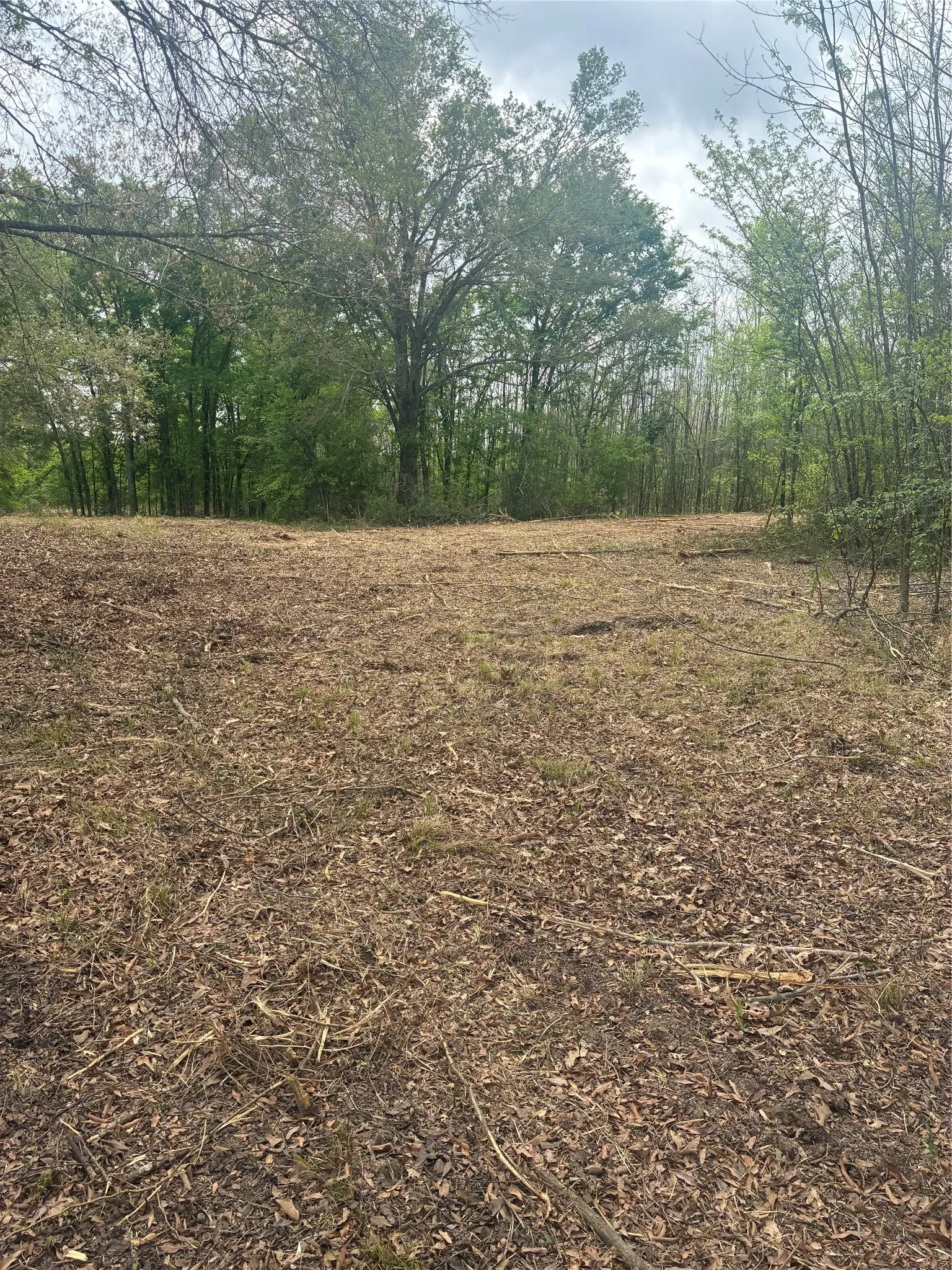 Unimproved Land For Sale in Franklin (TX) County , 1050 Highway 37, Talco, Texas 75487, 0, 0, Garage spaces, 0 Sqft, built in 0, mls#21160736, Real Estate Agent in Talco, Homes For Sale in Franklin (TX) county, Homes For Sale in Talco, Realtor in Talco Texas, Real Estate Brokerage Independent Realty Texas, Luminita Cordes Realtor