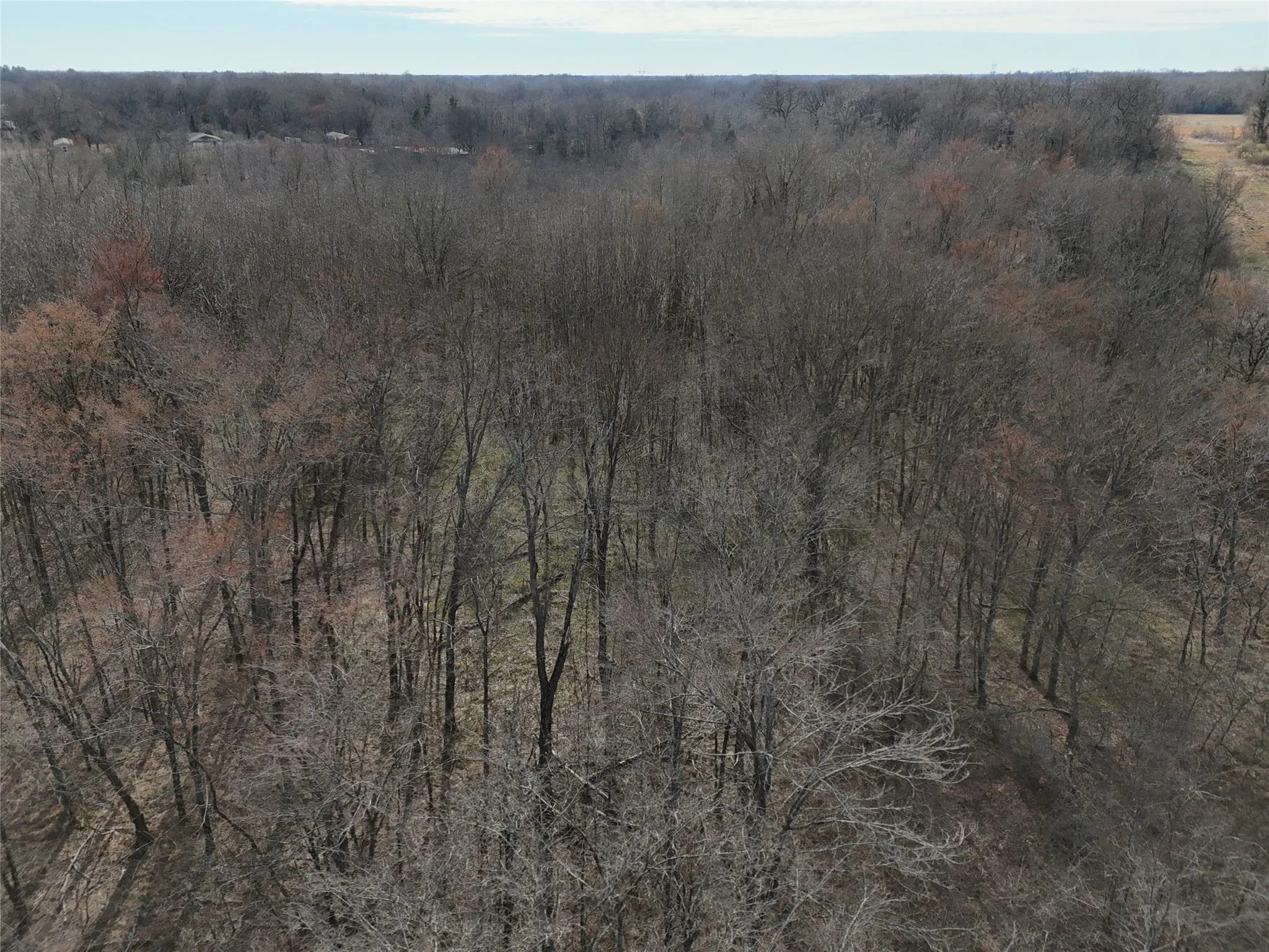 Unimproved Land For Sale in Franklin (TX) County , 1050 Highway 37, Talco, Texas 75487, 0, 0, Garage spaces, 0 Sqft, built in 0, mls#21160736, Real Estate Agent in Talco, Homes For Sale in Franklin (TX) county, Homes For Sale in Talco, Realtor in Talco Texas, Real Estate Brokerage Independent Realty Texas, Luminita Cordes Realtor