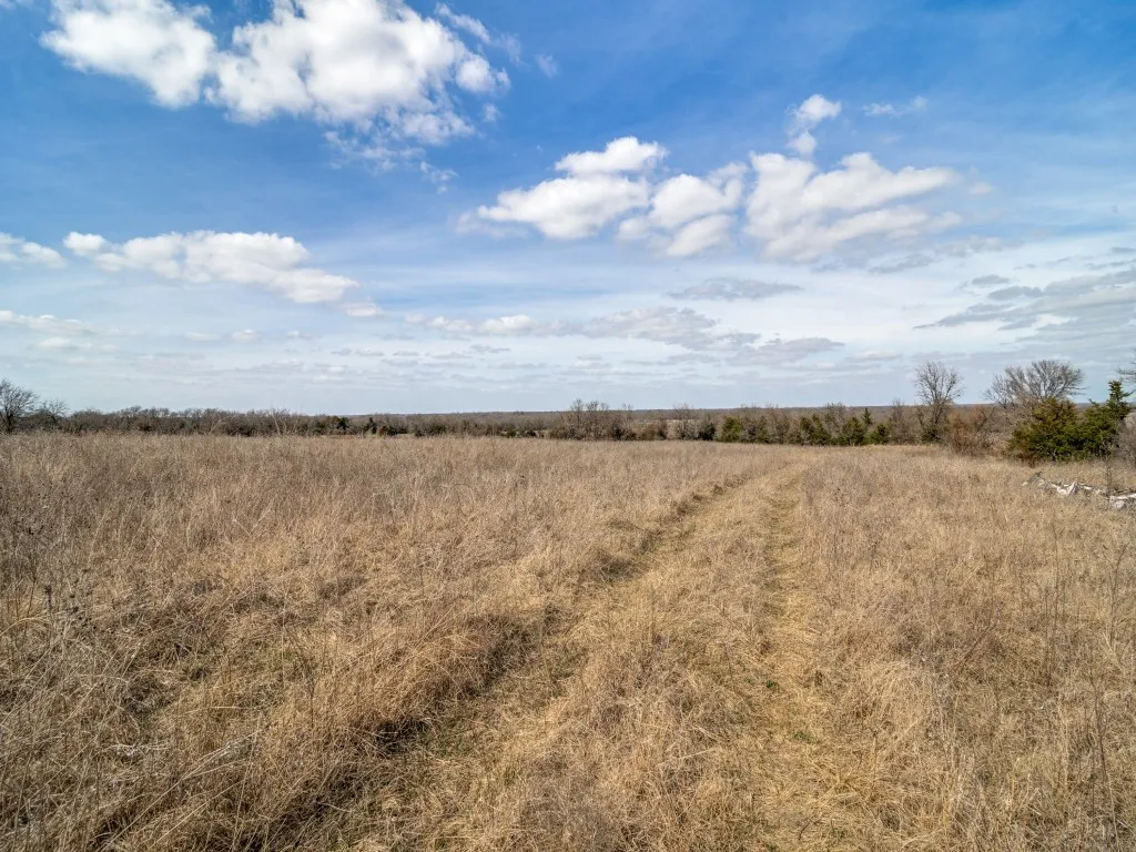 Ranch For Sale in Delta County , 2019 Fm 2949 Highway N, Cooper, Texas 75432, 0, 0, Garage spaces, 0 Sqft, built in 1999, Price $420,000, mls#21158208, Real Estate Agent in Cooper, Homes For Sale in Delta county, Homes For Sale in Cooper, Realtor in Cooper Texas, Real Estate Brokerage Independent Realty Texas, Luminita Cordes Realtor