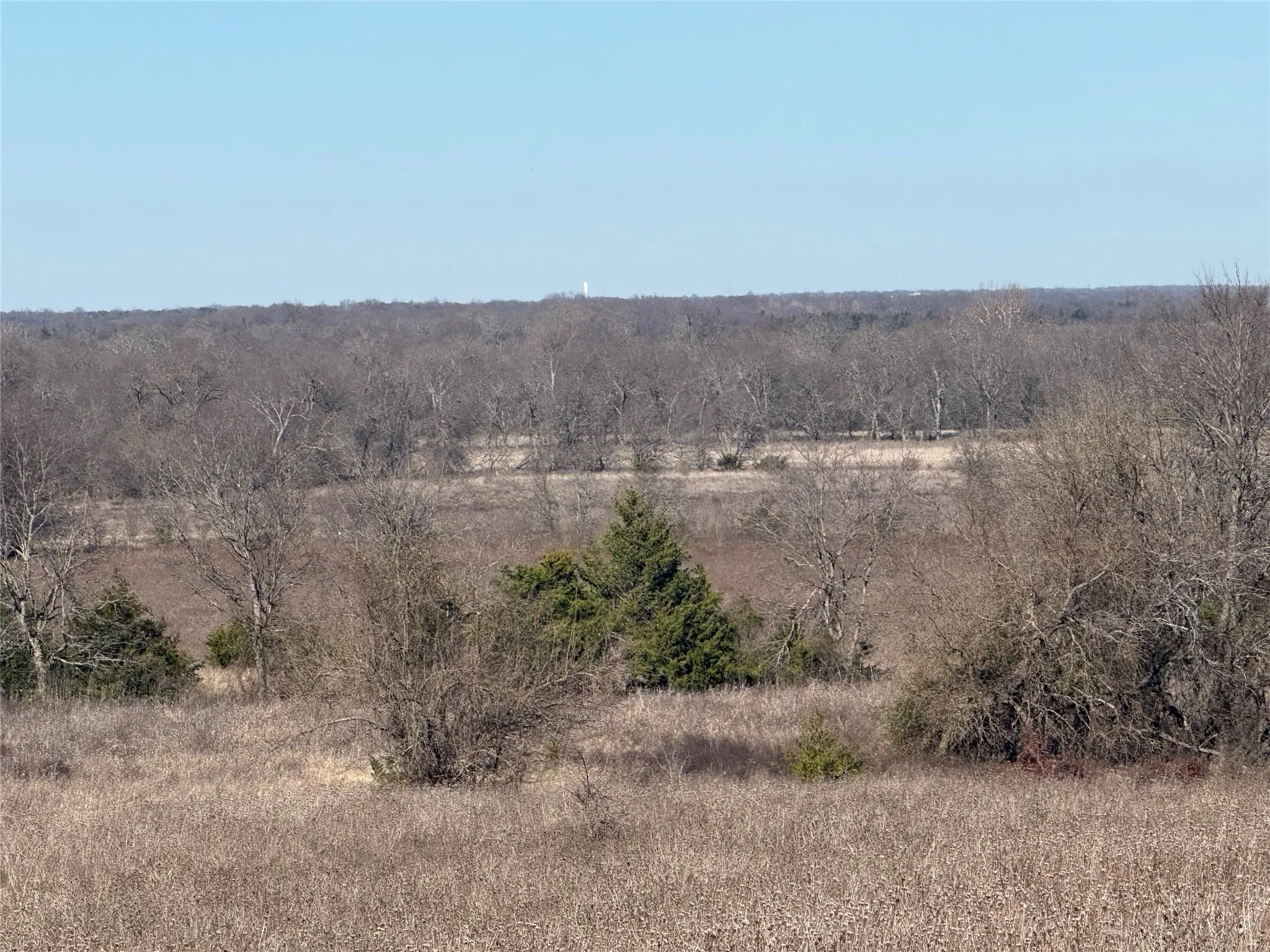 Ranch For Sale in Delta County , 2019 Fm 2949 Highway N, Cooper, Texas 75432, 0, 0, Garage spaces, 0 Sqft, built in 1999, Price $420,000, mls#21158208, Real Estate Agent in Cooper, Homes For Sale in Delta county, Homes For Sale in Cooper, Realtor in Cooper Texas, Real Estate Brokerage Independent Realty Texas, Luminita Cordes Realtor