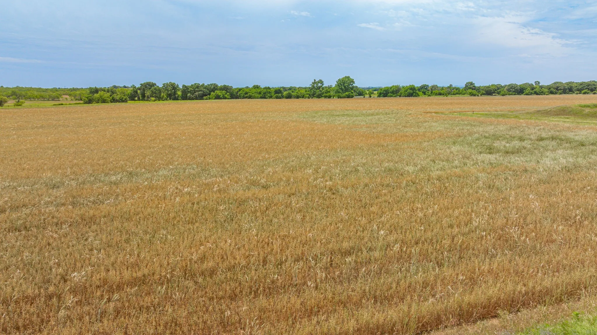 Farm For Sale in Comanche County , 351 Highway 2318, De Leon, Texas 76444, 4 Bedroom, 2 Bathroom, Garage spaces, 1,860 Sqft, built in 1998, mls#21160351, Real Estate Agent in De Leon, Homes For Sale in Comanche county, Homes For Sale in De Leon, Realtor in De Leon Texas, Real Estate Brokerage Independent Realty Texas, Luminita Cordes Realtor