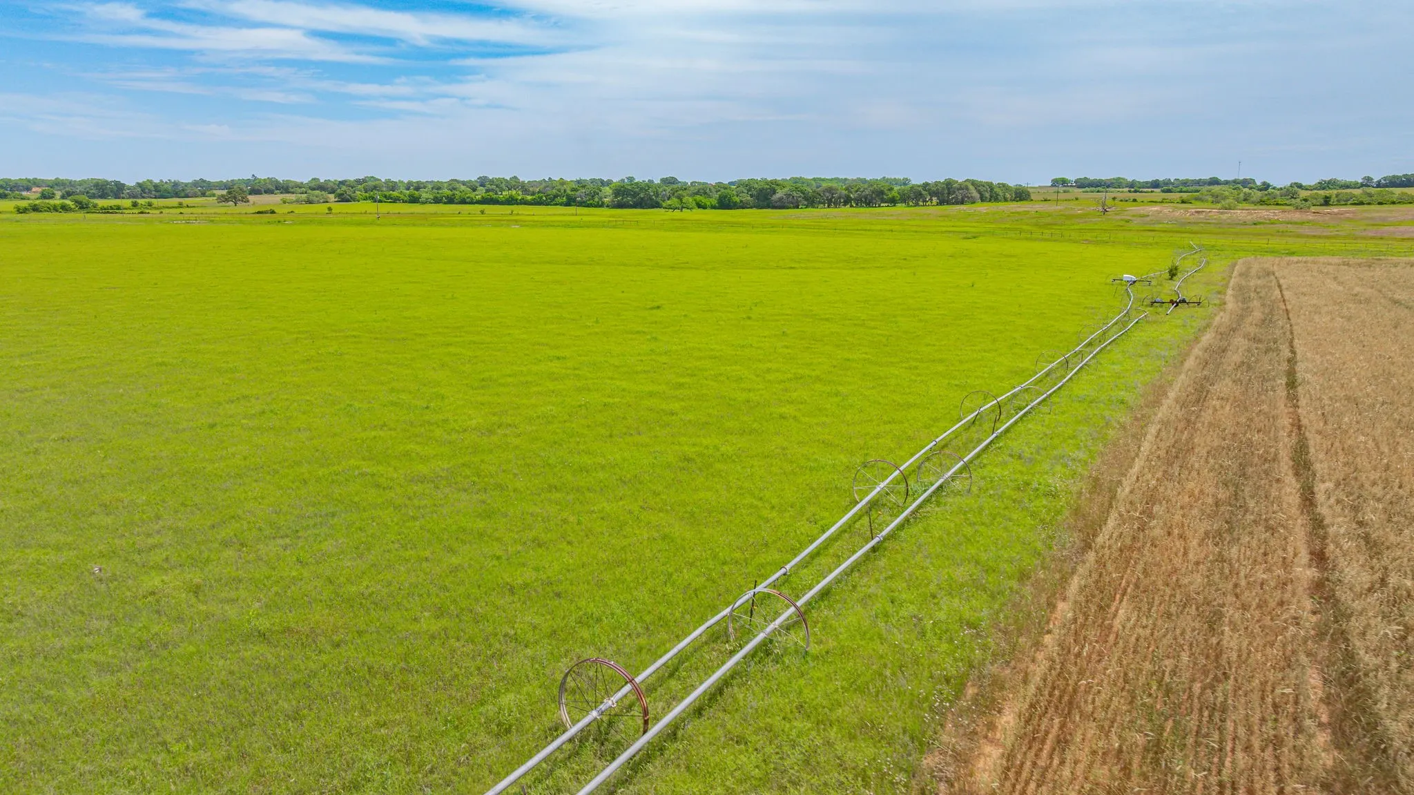 Farm For Sale in Comanche County , 351 Highway 2318, De Leon, Texas 76444, 4 Bedroom, 2 Bathroom, Garage spaces, 1,860 Sqft, built in 1998, mls#21160351, Real Estate Agent in De Leon, Homes For Sale in Comanche county, Homes For Sale in De Leon, Realtor in De Leon Texas, Real Estate Brokerage Independent Realty Texas, Luminita Cordes Realtor