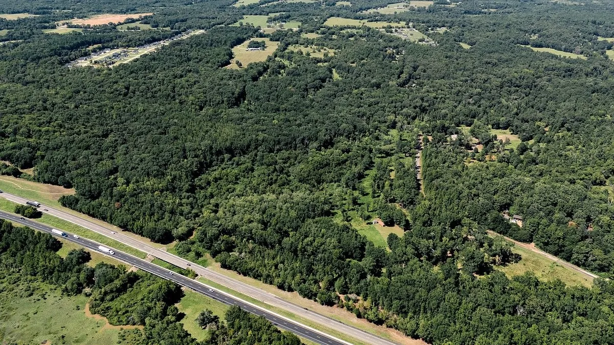 Unimproved Land For Sale in Smith County , TBD County Road 496, Lindale, Texas 75771, 0, 0, Garage spaces, 0 Sqft, built in 0, mls#21161027, Real Estate Agent in Lindale, Homes For Sale in Smith county, Homes For Sale in Lindale, Realtor in Lindale Texas, Real Estate Brokerage Independent Realty Texas, Luminita Cordes Realtor