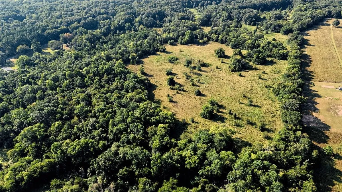 Unimproved Land For Sale in Smith County , TBD County Road 496, Lindale, Texas 75771, 0, 0, Garage spaces, 0 Sqft, built in 0, mls#21161027, Real Estate Agent in Lindale, Homes For Sale in Smith county, Homes For Sale in Lindale, Realtor in Lindale Texas, Real Estate Brokerage Independent Realty Texas, Luminita Cordes Realtor