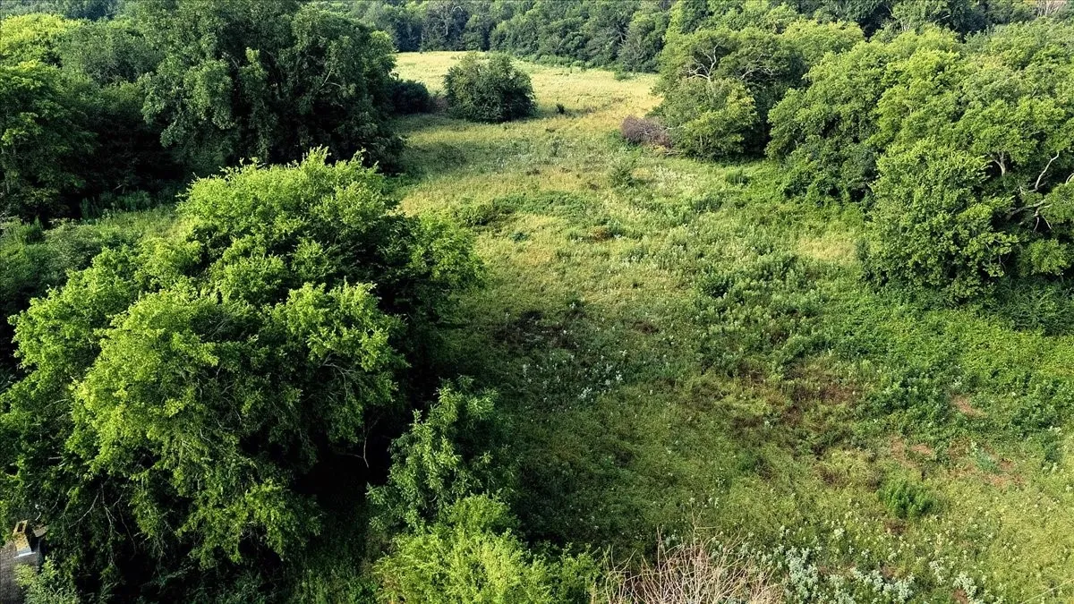 Unimproved Land For Sale in Smith County , TBD County Road 496, Lindale, Texas 75771, 0, 0, Garage spaces, 0 Sqft, built in 0, mls#21161027, Real Estate Agent in Lindale, Homes For Sale in Smith county, Homes For Sale in Lindale, Realtor in Lindale Texas, Real Estate Brokerage Independent Realty Texas, Luminita Cordes Realtor