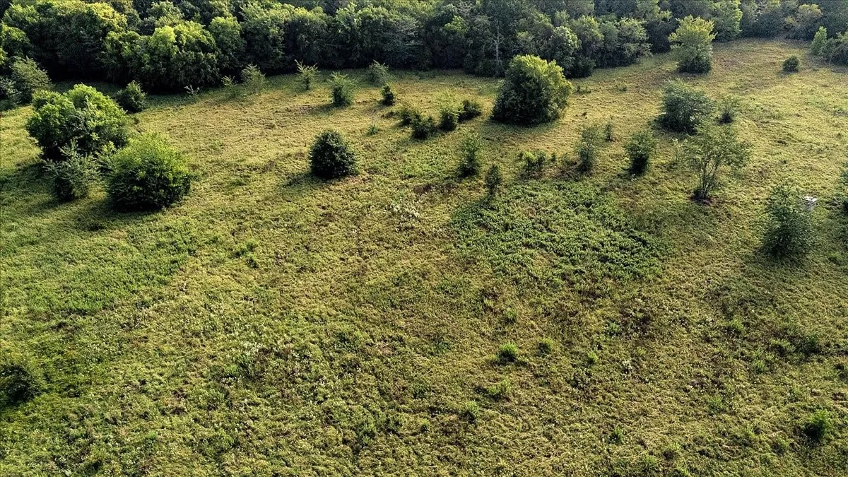 Unimproved Land For Sale in Smith County , TBD County Road 496, Lindale, Texas 75771, 0, 0, Garage spaces, 0 Sqft, built in 0, mls#21161027, Real Estate Agent in Lindale, Homes For Sale in Smith county, Homes For Sale in Lindale, Realtor in Lindale Texas, Real Estate Brokerage Independent Realty Texas, Luminita Cordes Realtor