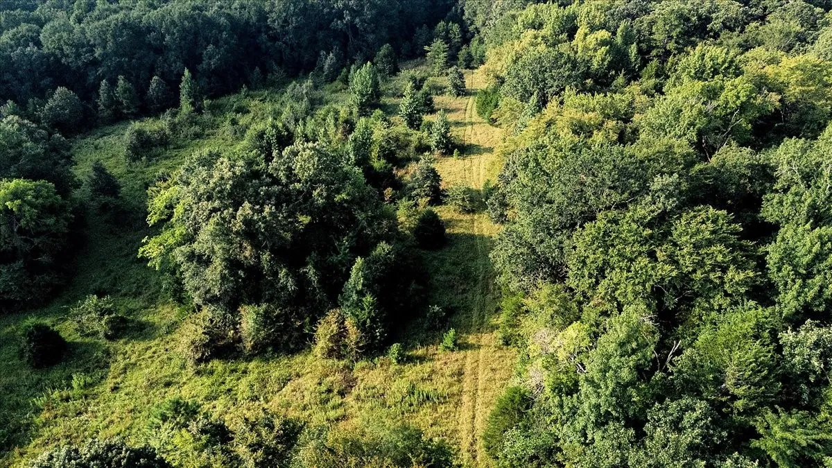 Unimproved Land For Sale in Smith County , TBD County Road 496, Lindale, Texas 75771, 0, 0, Garage spaces, 0 Sqft, built in 0, mls#21161027, Real Estate Agent in Lindale, Homes For Sale in Smith county, Homes For Sale in Lindale, Realtor in Lindale Texas, Real Estate Brokerage Independent Realty Texas, Luminita Cordes Realtor
