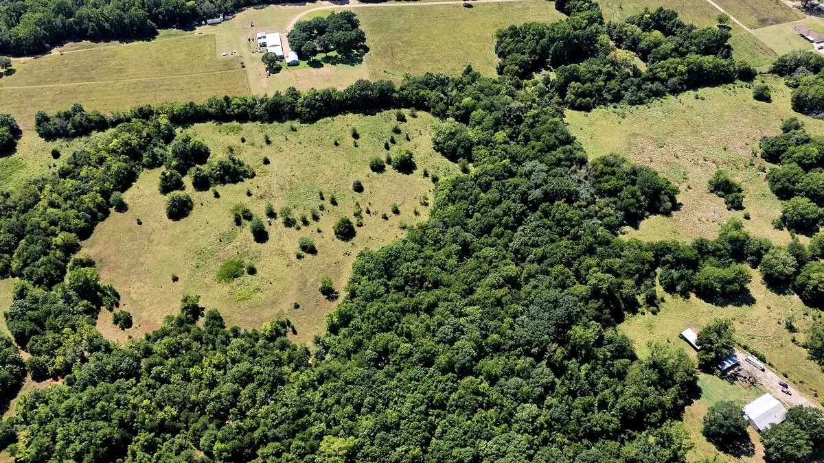 Unimproved Land For Sale in Smith County , TBD County Road 496, Lindale, Texas 75771, 0, 0, Garage spaces, 0 Sqft, built in 0, mls#21161027, Real Estate Agent in Lindale, Homes For Sale in Smith county, Homes For Sale in Lindale, Realtor in Lindale Texas, Real Estate Brokerage Independent Realty Texas, Luminita Cordes Realtor